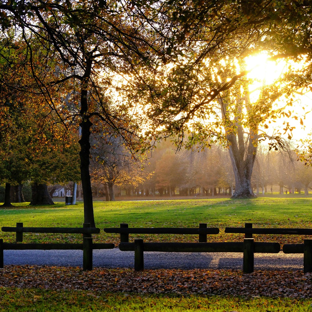 BIG NEWS for landscapers in Christchurch and the Council now requires its landscape contractors to be members of Registered Master Landscapers (RML) or hold equivalent qualifications. Find out more by clicking on the link below!