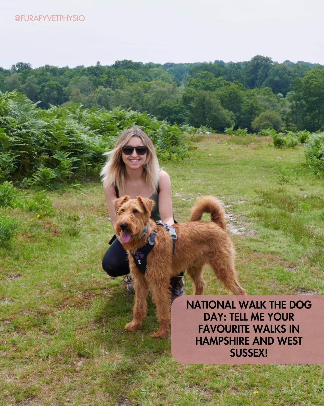 🐾 It’s National Walk Your Dog Day, which feels like the perfect excuse to head out for some fresh air with our four legged friends!
A simple walk can support joint health, build strength, and keep your dog’s mind engaged. Regular movement really does make a difference to long-term mobility.
🌳 We’re lucky to have some brilliant routes across Hampshire and West Sussex.
Where’s your favourite place to walk? Share your go-to spots in the comments and let’s inspire more dogs to stay active and feeling their best! 🐕