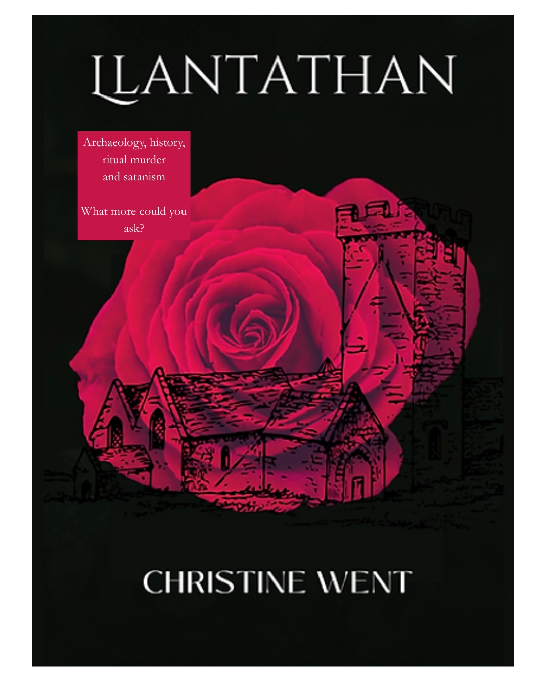 Archaeology, history, ritual murder and satanism. It's all there.
Support your local bookshop!
#christinewent #llantathan #murdermystery #horrorfiction