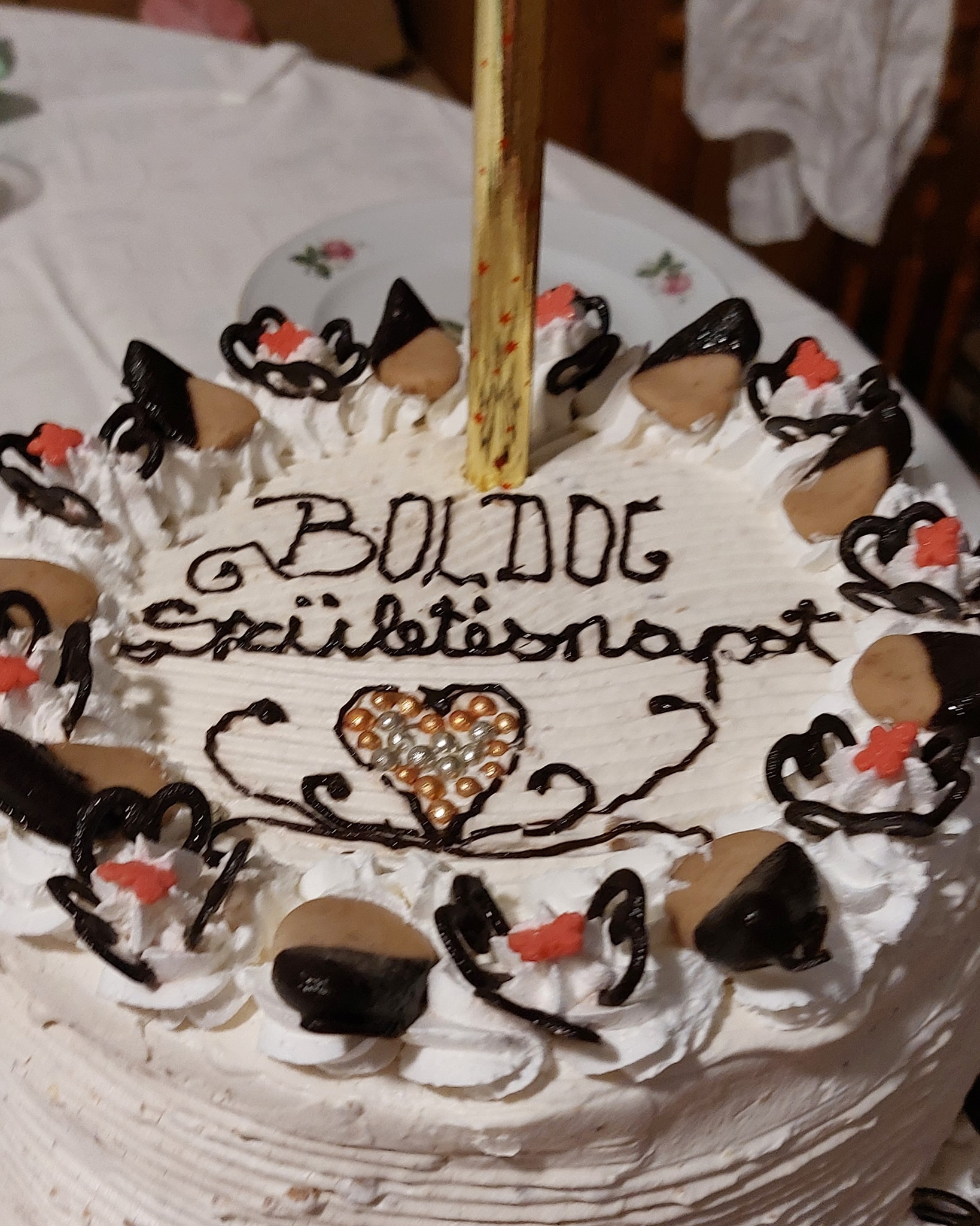 Chapter Five and Six
What a start to February.
I was meant to travel to Hungary — to celebrate my birthday and spend precious time with my parents, my nephew, and my niece.
Instead, Finci became quite unwell, and suddenly my focus narrowed to her. Worry took up space. I left work as it was and tried to put on a brave face, smiling when I could.
In an ideal world, you cancel clients without guilt and stay home. But that hasn’t been my world. I still remember how some clients reacted when I miscarried and I had to cancel — unsupportive, selfish moments that stayed with me. Those memories make decisions heavier than they should be.
In the end, I trusted that Finci would be in good hands with Mick, and I travelled. And I’m glad I did. The time with my family mattered. Deeply. It filled something that had been running low for a while.
So… how does being 42 feel?
Like a reminder to slow down. To be more present. To listen better to my body. Living with chronic conditions — RA, long-term stress — isn’t something you can power through forever, no matter how capable you are.
Coming back was tearful. Leaving loved ones never gets easier. I returned with a nasty cold, Finci started antibiotics, and the diary quickly filled with tired bodies needing care.
And so, once again, the brave face goes on.
The real world resumes.
Hands keep working.
Care keeps flowing.
Let’s see what Chapter Seven brings to the table.
#life #therapistlife #family