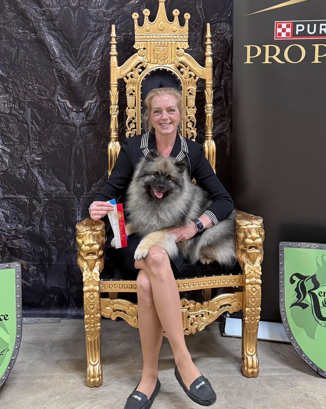 Amex finished her championship today winning WB, BOW and BOS at Madison’s Renaissance Cluster.
She is now Ch Peregrine’s Kiss My Assets (pending akc)
Co bred and co owned with Jean Gauchat
GCh Windrift’s No-One Gets Left Behind at Starstruck “Stitch” x Ch Summerwind’s Playing With Matches “Ember”
Thanks to judge Melissa Robinson!
#showkeeshond #peregrinekeeshond #keeshondsofinstagram #keeshond #dogshows