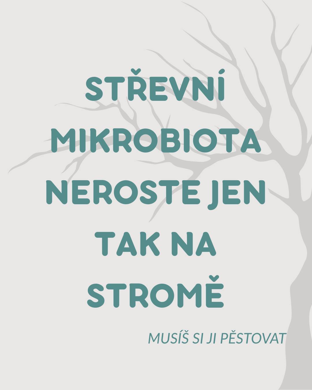 = malý svět uvnitř tebe 🌍🦠
Střevní mikrobiom je soubor miliard bakterií a dalších mikroorganismů, které žijí v našem střevě. Nejsou to nepřátelé – naopak. Většina z nich s námi spolupracuje a pomáhá nám fungovat.
Když je mikrobiom v rovnováze, tělo šlape lépe. Když je narušený (stres, špatná strava, časté užívání antibiotik), může se to projevit únavou, trávicími potížemi i oslabenou imunitou.
Jak o něj pečovat?
🥦 Pestře jíst (vláknina je klíč!)
😴 Dostatečně spát
🚶♀️ Hýbat se
💊 Užívat antibiotika jen když jsou opravdu potřeba
Pečuj o své střevo – je to víc než jen trávení 💚