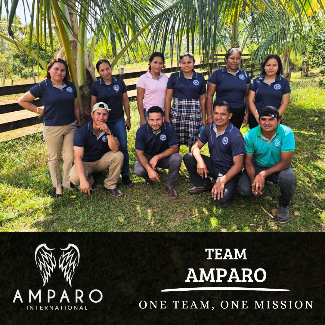 Today we proudly share our incredible team of teachers at Colegio Amparo. They are more than educators; they are mentors, leaders, and vessels of God’s grace in the lives of our students.
To our teachers: thank you for answering the call.
To our donors and supporters: thank you for making this mission possible.
Because of you, we continue shaping hearts, building minds, and sharing Christ’s love.
Together, we are one team with one mission — 𝗳𝗼𝗿 𝗛𝗶𝘀 𝗴𝗹𝗼𝗿𝘆. 🙏
_____𝑬𝒔𝒑𝒂𝒏𝒐𝒍_____
Hoy compartimos con orgullo a nuestro increíble equipo de docentes del Colegio Amparo. Ellos son más que educadores; son mentores, líderes y vasos de la gracia de Dios en la vida de nuestros estudiantes.
A nuestros maestros: gracias por responder al llamado.
A nuestros donantes y colaboradores: gracias por hacer posible esta misión.
Gracias a ustedes, seguimos formando corazones, edificando mentes y compartiendo el amor de Cristo.
Juntos somos un equipo con una sola misión — para Su gloria. 🙏