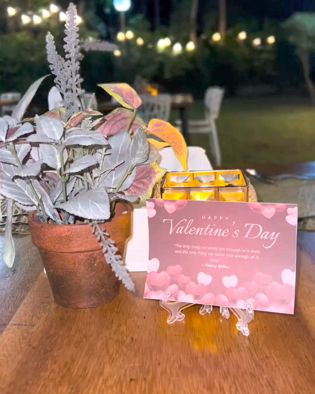 Love bloomed beautifully at The Purple Farm this Valentine’s Day. 💜🌹
An evening filled with candlelight, romantic ambiance, and unforgettable memories. Thank you to all the couples who celebrated love with us last February 14.
We can’t wait to create more magical nights for you. ✨
#ThrPurpleFarm #ValentinesDinner #RomanticDinner #LoveAtThePurpleFarm #DateNightPH