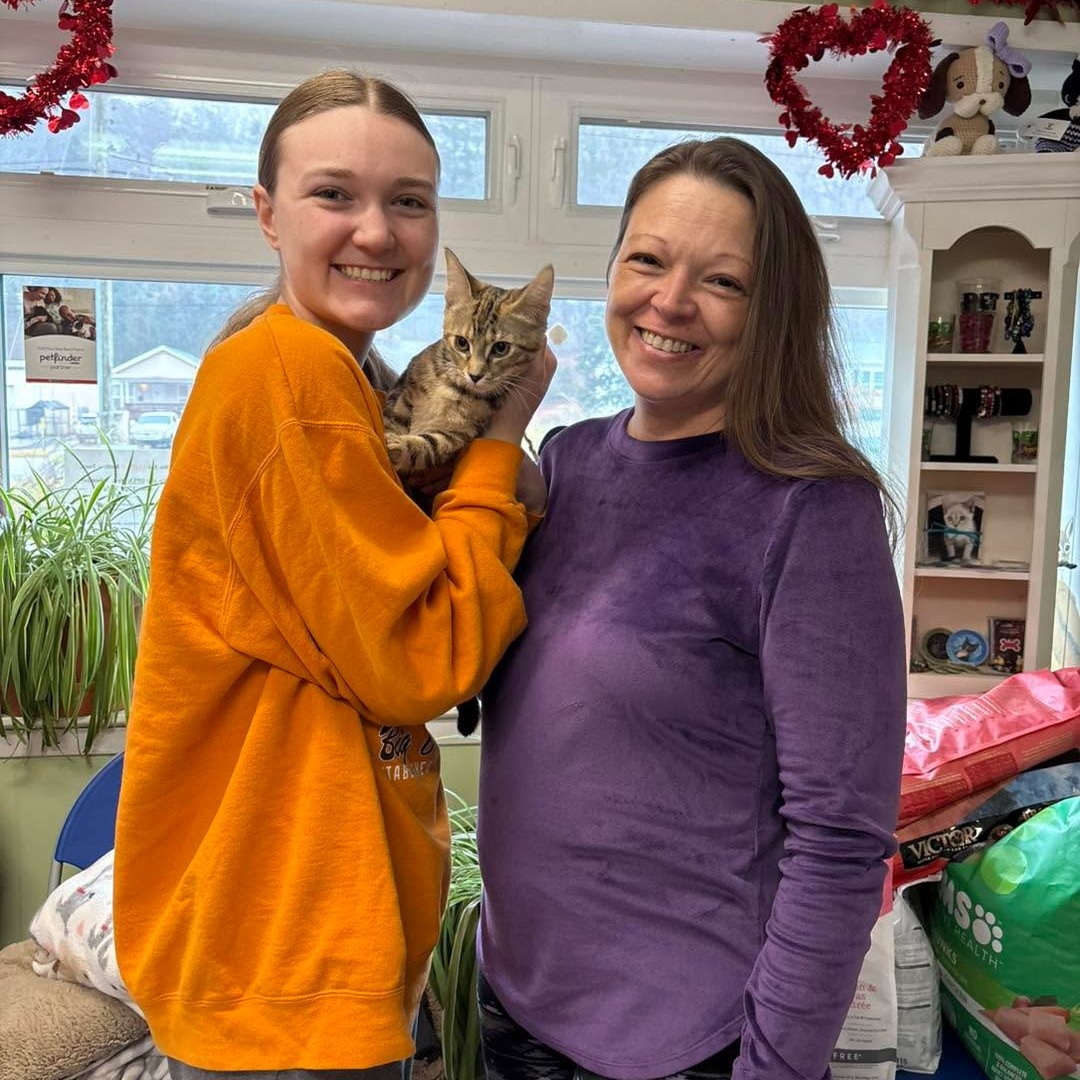 Happy Tails for kitten Donegal and senior Kat Von D💜 #adoptasheltercat #adoptionsaveslives