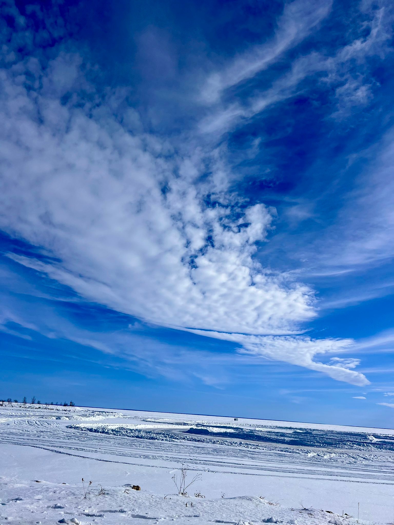 Ginger enjoyed a ride around Winnipeg Beach today. ❤️🐾
I also went for a walk and got a few more pics of frozen Lake Winnipeg.
More snow is forecast, winter is not over yet!
