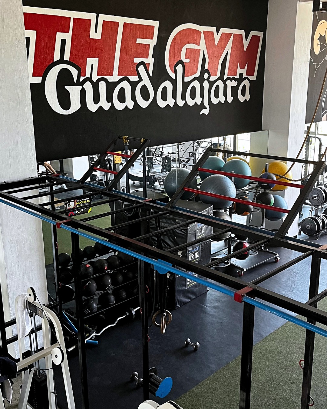 THE GYM, el único gym de verdad 🔥🔥
#gymguadalajara #gimnasio #xochitl4203 #entrenamiento #gym #thegym #guadalajara