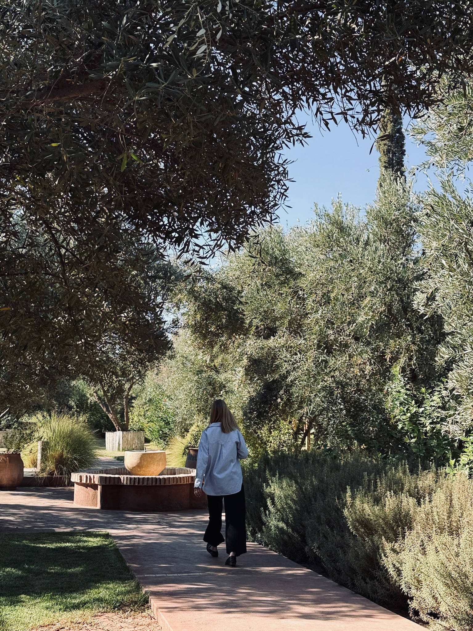 Se promener au cœur des jardins, au rythme de la nature 🌿
Un vrai moment pour soi.
#nature #jardin #marrakech #slowlife #relaxingtime