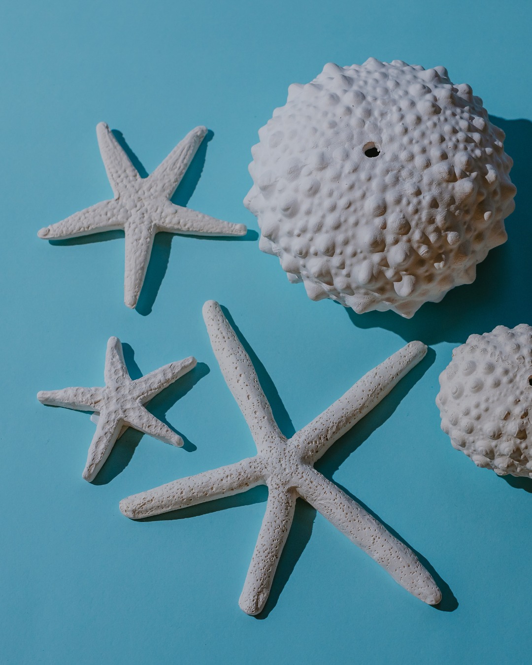 Qui nâa jamais croisé un oursin ou une étoile de mer sur une plage à Maurice ?âïž
Souvent on les voit sans vraiment les remarquer, pourtant chacun cache des détails fascinants.
Observer, redécouvrir, sâémerveiller : câest toute lâexpérience qui vous attend au World Of Seashells.
#WorldOfSeashells #BelOmbre #Mauritius #TrésorsMarins #Oursins #Ãtoiledemer