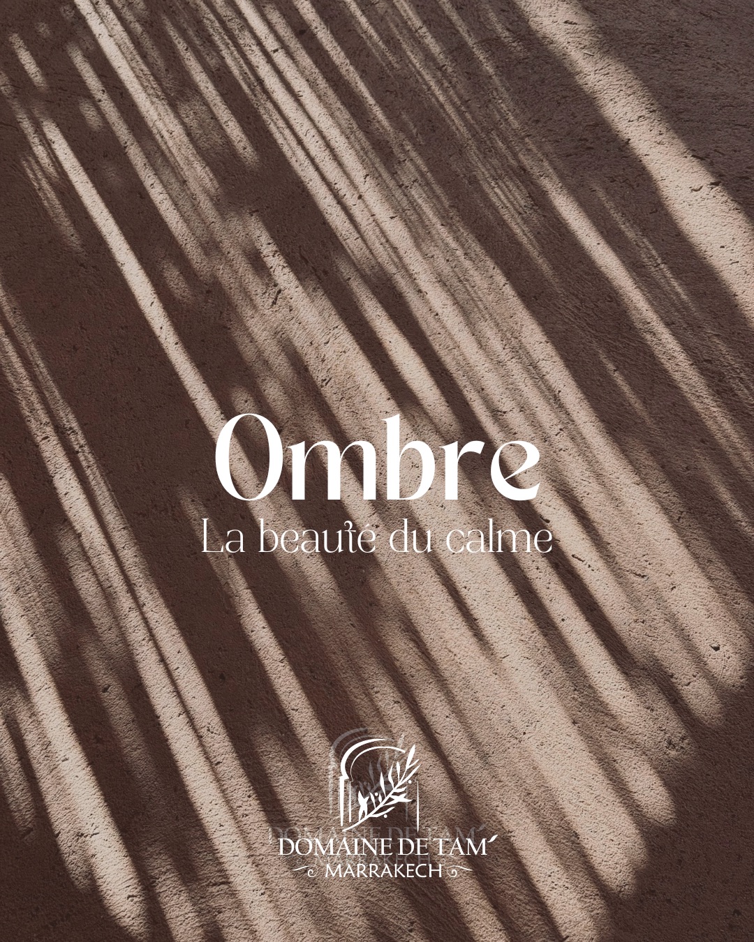 Cette lumière dorée qui enveloppe Marrakech ☀️
Une énergie naturelle qui réchauffe les journées et les esprits.
#marrakech #morocco #sun #goodenergy #sunnyday #escape