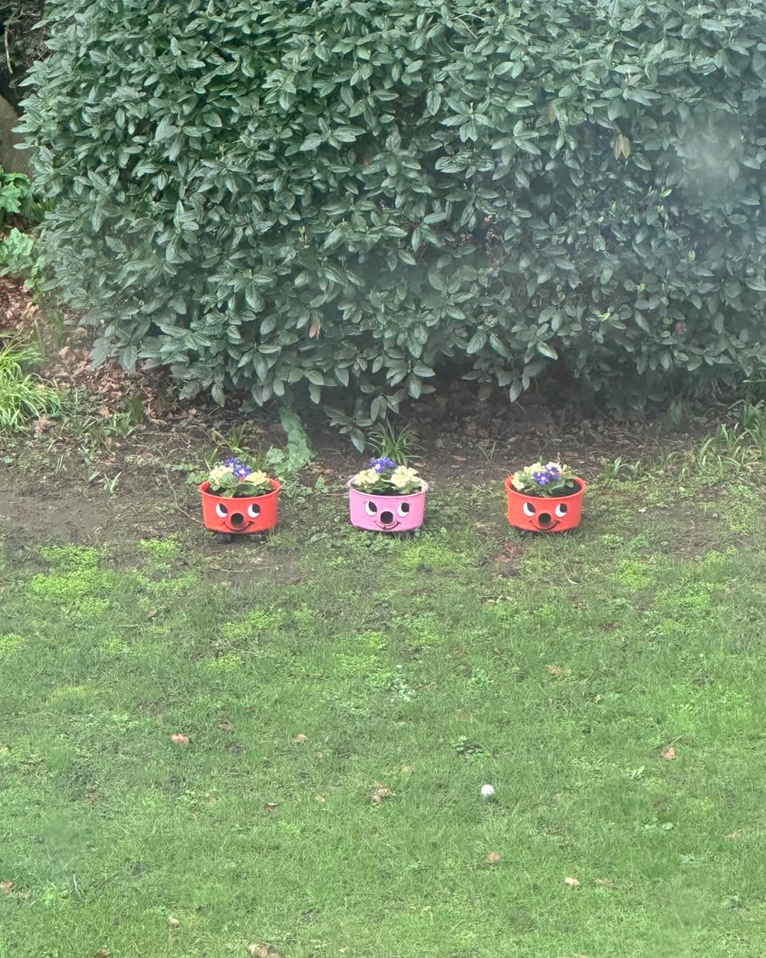 Coming into work this morning to this view outside the office window 😆