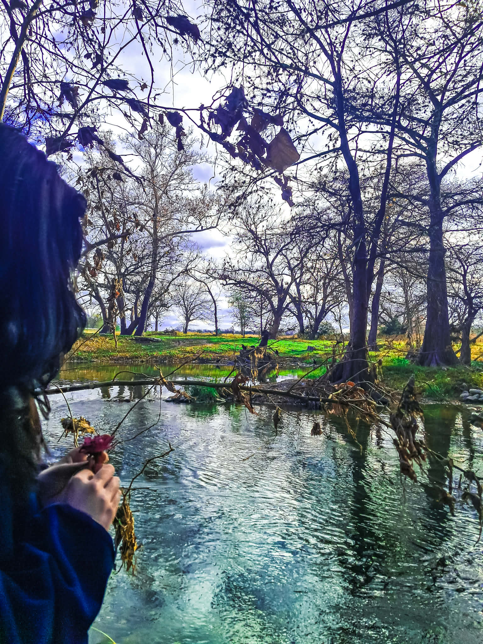 I took my daughter to the Guadalupe River.
The water was clear in that way only living water can be — steady, ancient, remembering. When something feels too heavy to carry, I bring it to water.
We did not build anything elaborate. Just what we had — a few crackers, purple daisies, a small stone, a bit of money, two candles. Offerings are not about spectacle. They are about reciprocity. If you ask the land to hold you, you give something back.
We spoke to our ancestral mothers. We thanked the river for carrying what we cannot. My daughter chose what she wanted to leave for the spirits who guard that stretch of bank. Children already know the world is alive.
Then we began to release.
One flower at a time, she named what was weighing on her and set each daisy into the current. We watched them drift until they were no longer ours.
Above us, vultures gathered in the trees — loud, watchful, present. Vulture has never meant decay to me. It means survival. Transformation. Prosperity through endurance.
When the last flower was placed in the river, one broke from the group and landed in the tree beside us. Close. Intent. Watching.
It did not feel random. It felt like acknowledgment.
Ritual is not performance. It is exchange. A giving. A witnessing.
If you are carrying something that feels too large for your chest, take it to water. Bring a flower. Speak its name aloud. Let your hands release it.
#WanderingsOfASpiritualist
#RiverRitual
#AncestralVeneration
#LandBasedSpirituality
#SacredReciprocity
#SpiritualMotherhood
#GuadalupeRiver
#RitualPractice
#OfferingsToTheLand
#CommunityTarot