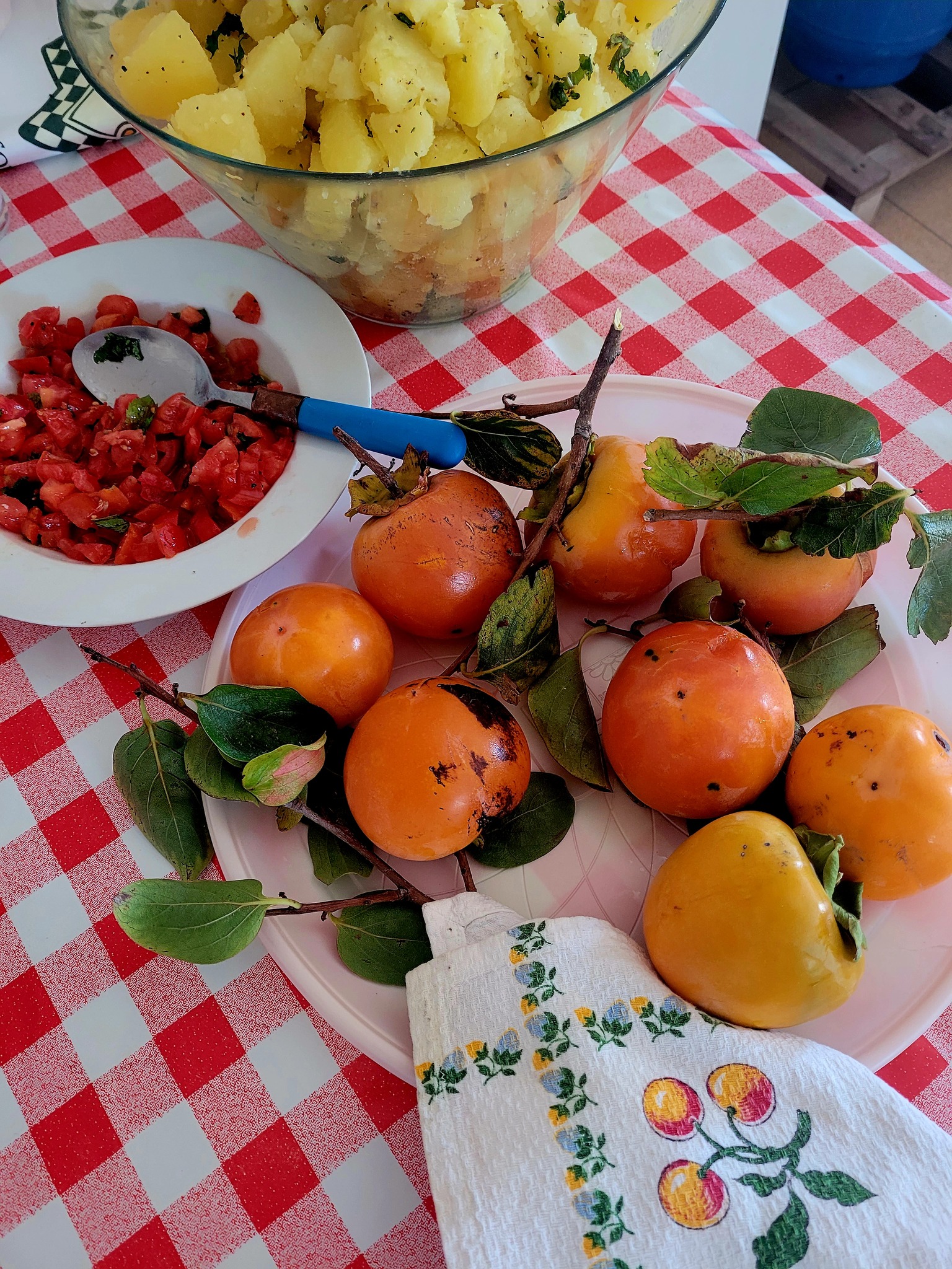 An impromptu lunch in the vineyard.
Home grown tomato bruschetta, local potatoes seasoned with wild herbs and freshly picked persimmons.
Just simple food and long conversations.