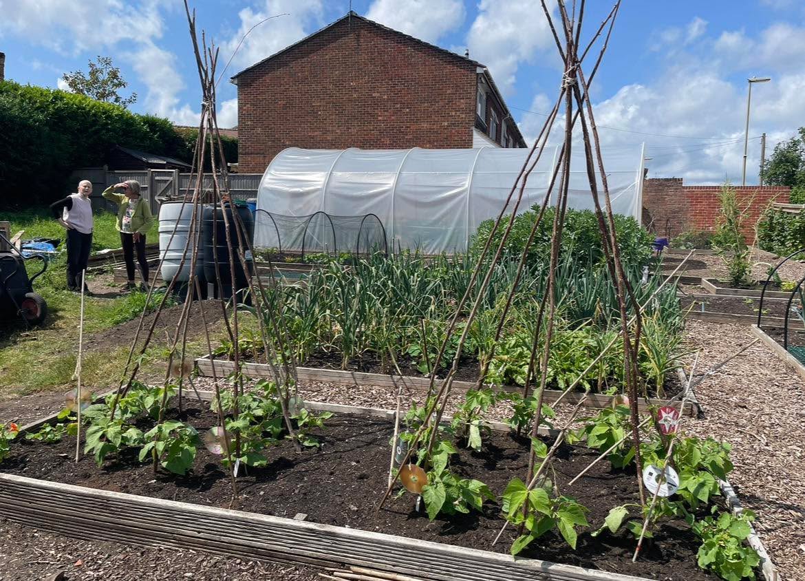 🥕Overton Community Kitchen Garden visit with Q and A: Thursday 5 March 2026 from 2pm to 3pm🍅
The Overton Community Kitchen Garden is an allotment in the village of Overton where volunteers grow vegetables for local people to eat – for free. It fosters social connections and community cohesion, makes healthy food more easily available for local people and encourages biodiversity.
This session is an in-person question and answer session from 2pm to 3pm on Thursday 5 March with volunteers from the Community Kitchen Garden. It is behind the Redfort Tandoori, 20 Winchester Street, Overton. Please email the council’s climate change team climatechange@basingstoke.gov.uk to let them know if you are planning to come.
Community Kitchen Garden
Sustainable Basingstoke