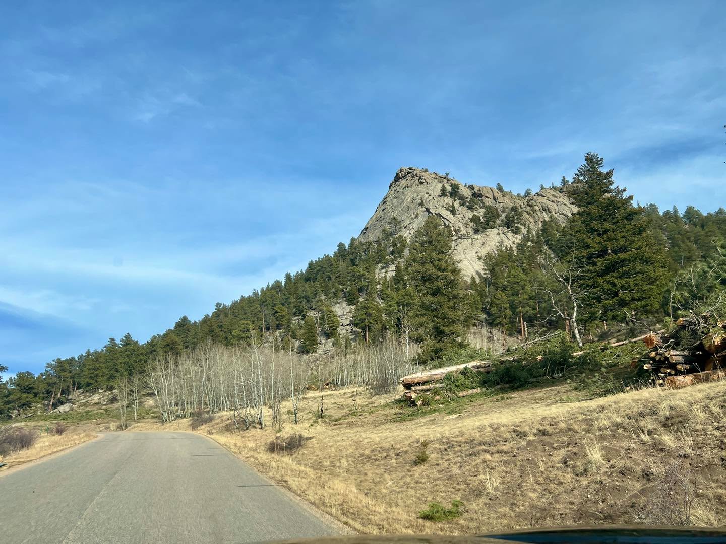 MacGregor Ranch is proud to once again partner with the Larimer Conservation District on another important forestry project at our Dry Gulch property, focused on restoring the natural character of the Ponderosa pine forest.
The Purpose:
Reduce wildfire risk while improving biodiversity across the landscape.
Before modern fire suppression, ponderosa forests were far less dense than we see today. Frequent, low-intensity fires naturally thinned trees and maintained open stands with grassy, thriving understories. These forests were more resilient, more diverse, and better adapted to live with fire.
Over time, fire suppression has led to overcrowded conditions, too many trees competing for light and water, limited growth on the forest floor, and heavier fuel loads that can intensify wildfires.
Our Goal:
We want our firefighters and our community safe, so we are emulating what nature once did on its own.
By thoughtfully reducing tree density, we’re creating a mosaic of clustered trees, open spaces, and strategic fire breaks; restoring a balance of sunlight and shade. That diversity of light is key. When more light reaches the forest floor, biodiversity flourishes.
A healthier understory means:
• More pollinators
• More birds and wildlife
• Better edge habitat for raptors and birds of prey
This work strengthens ecological health while also enhancing wildfire resilience for our community and protecting vital water resources.
Through thoughtful stewardship and our partnership with Larimer Conservation District, we’re helping return Dry Gulch to a forest structure closer to what nature intended: open, diverse, and ready to live with fire. 🌲