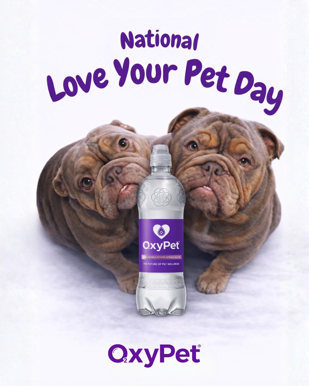 It’s National Love Your Pet Day 🐾 Our dogs give us loyalty, laughter and unconditional love every single day. Give your best friend a little extra love from us 💜