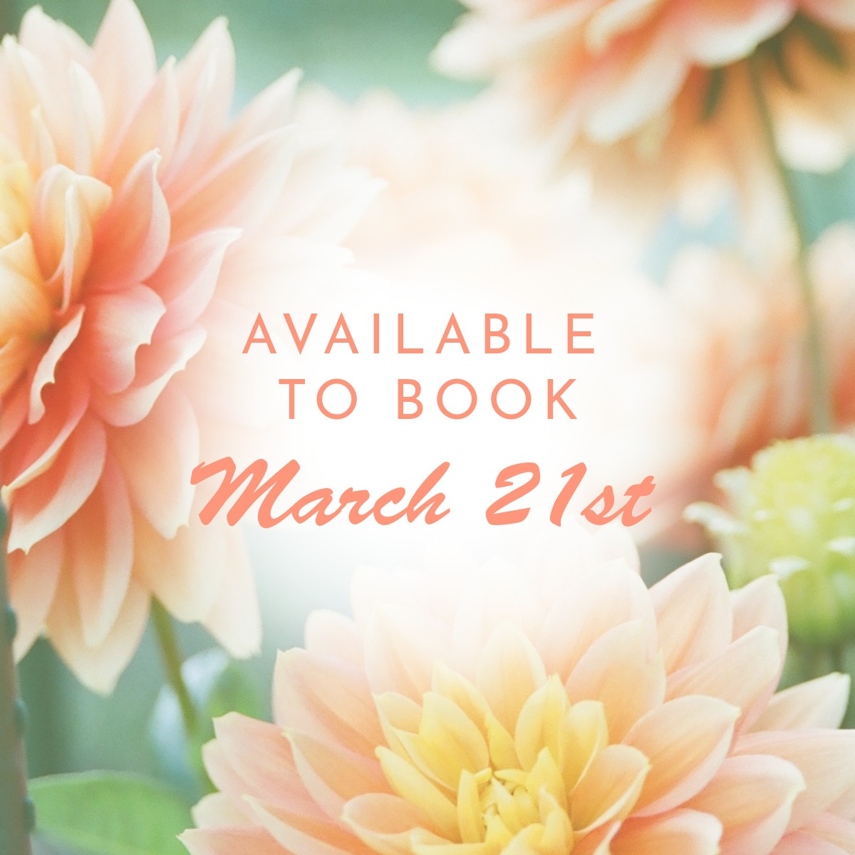 Spring has spring. Schedule your upcoming event now. www.ujimasocials.com