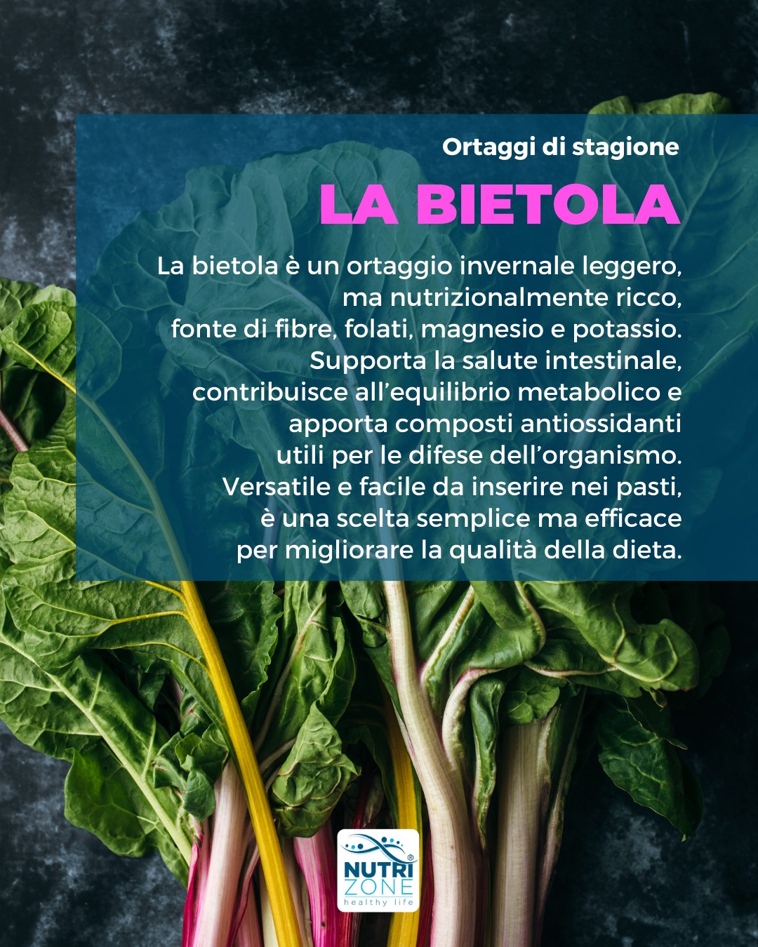 La bietola è un ortaggio invernale leggero ma ricco di fibre, minerali e antiossidanti.
.
Supporta intestino e metabolismo ed è facile da inserire nella dieta quotidiana 🥗
.
#nutrizione #NutriZone #teamNutriZone #nutrizionepersonalizzata #nutrizionesana #nutrizionista #nutrizionistabrescia #biologonutrizionistabrescia #brescia #nutrizionista #biologonutrizionista #starebene #ortaggidistagione #bietola #bieta