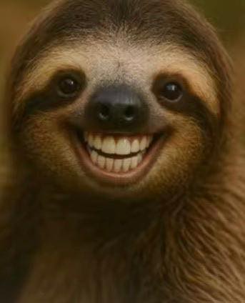 😃. Only a few spots left in our 6pm Beginner Reformer class in Hillsborough on Wednesday night and our Mixed Level class at 7pm!
Come stretch, strengthen, and sneak in an hour that’ll have you walking out taller and smiling wider.
Grab your spot before they’re gone! 😄