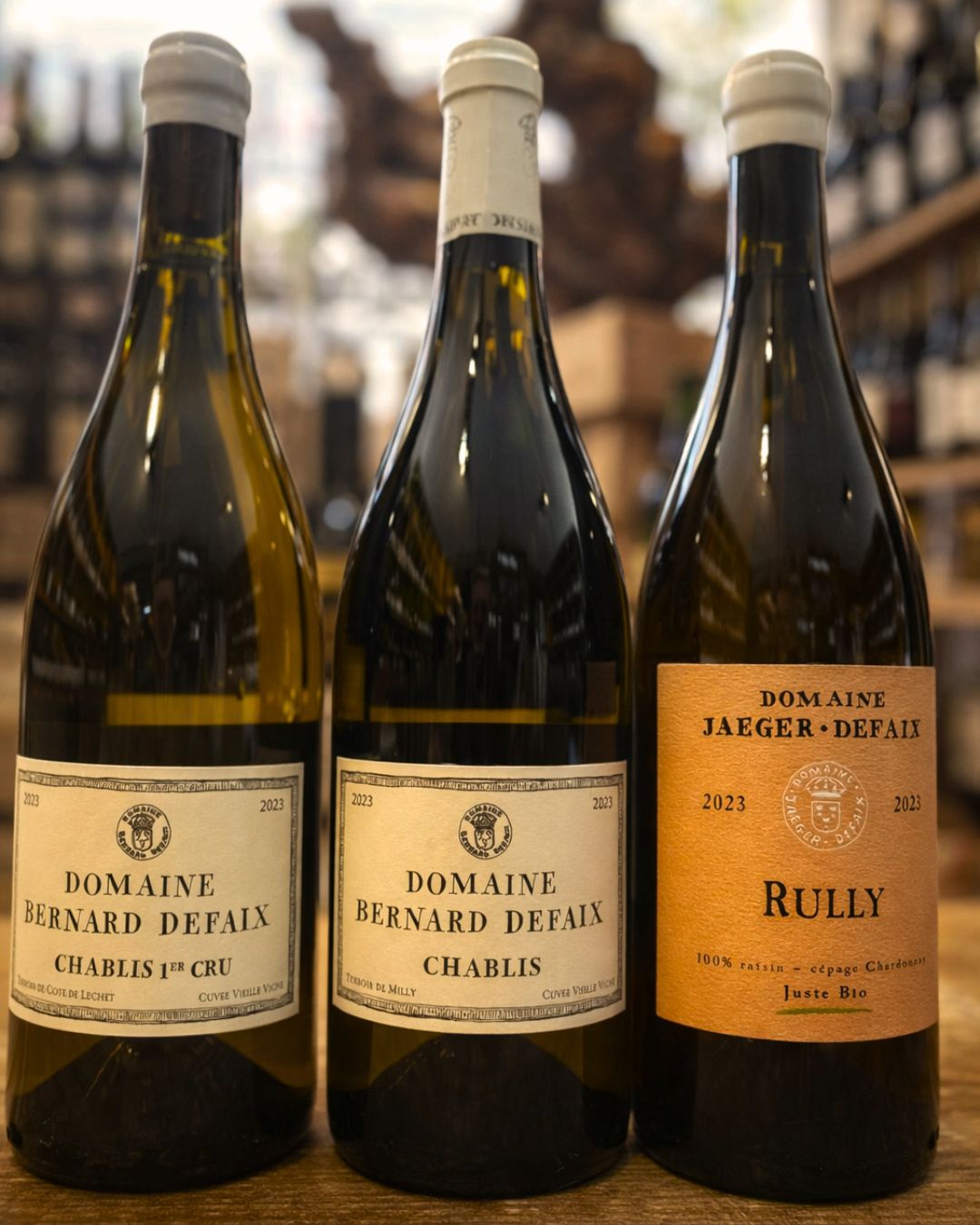 Te presentamos tres joyas de @domaine.bernard.defaix , una bodega familiar con más de 200 años de tradición situada en Chablis (región de Borgoña, Francia). Los viñedos de Bernard Defaix se asientan sobre terroirs kimmeridgianos ricos en fósiles marinos, que aportan a los vinos una frescura vibrante, una mineralidad característica y una pureza aromática inconfundible. La bodega cultiva principalmente Chardonnay, respetando rendimientos moderados y técnicas que reflejan fielmente el carácter de cada parcela.
🍇 Chablis 2023 — Domaine Bernard Defaix
Un blanco fresco y elegante, con notas cítricas, minerales y un perfil vibrante que encarna el estilo clásico de Chablis.
🌟 Chablis 1er Cru Côte de Léchet 2023 — Domaine Bernard Defaix
La expresión de un primer cru excepcional: más profundidad, estructura y complejidad que culminan en un vino de gran equilibrio entre fruta fresca, minerales salinos y una acidez refinada.
🍾 Rully 2023 — Domaine Jaeger-Defaix
Desde la Côte Chalonnaise, este blanco muestra el lado más redondo y expresivo del Chardonnay.
👉 ¡Ya disponibles en nuestra web!
Haz clic, elige tus favoritos y disfrútalos en la comodidad de tu hogar.