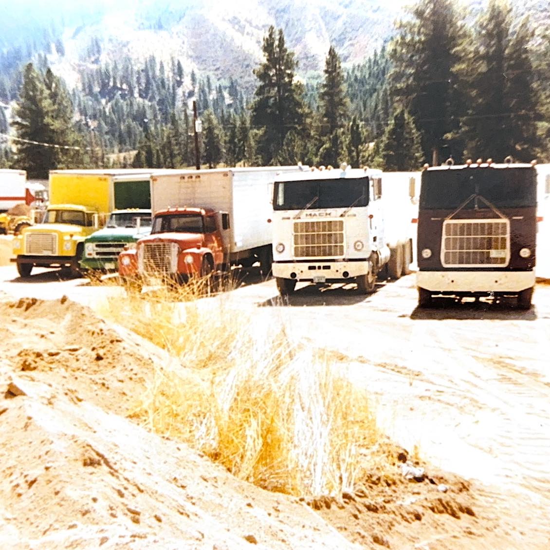 Throwback Thursday! Ward’s delivery trucks. Circa 1980’s.