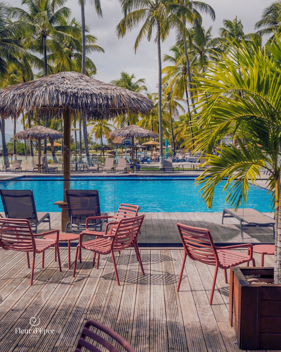 Ici, la terrasse du bar n’est pas juste un lieu… c’est le prélude à la baignade parfaite. 👙🍹
En plein air, à température idéale, la piscine vous accueille chaque jour de 08h30 à 19h30, pour nos résidents ou les détenteurs d’un pass journée All Inclusive.
La question n’est plus “envie ou pas ?”
Mais plutôt… quand venez-vous en profiter ? 😉
📞 0590 90 40 00
📩 reservation@hotel-fleur-depee.com
https://www.hotel-fleur-depee.com/