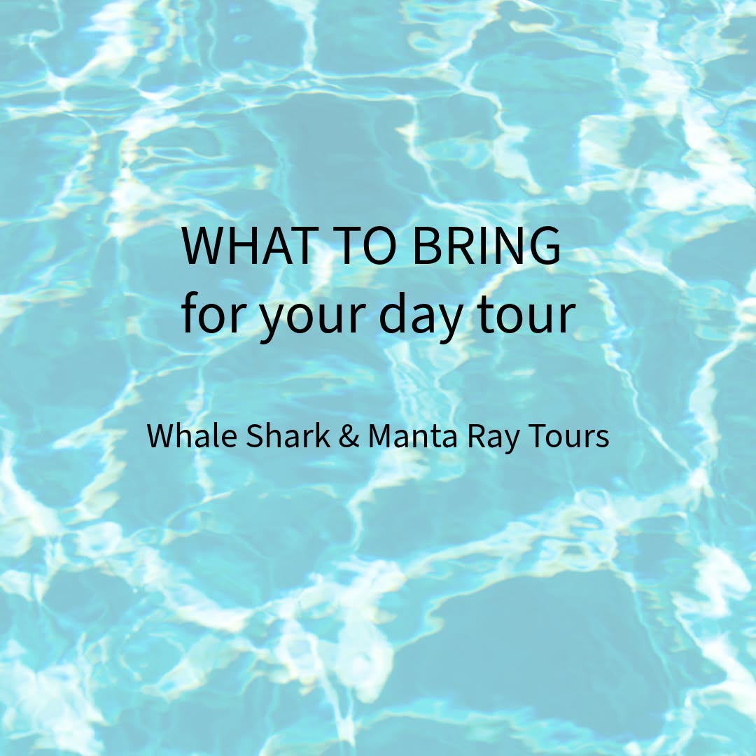 Joining us for a Whale Shark or Manta Ray day tour? 🌊🤿
Here’s your quick packing checklist so you’re fully prepared for an incredible day on the water.
Good news — we provide reef-safe sunscreen, wetsuits/lycra suits, snorkel gear, food, drinks and professional photos… so you can pack light and just focus on the experience.
Save this post for later ✔️
#OceanEcoAdventures #OnceInALifetime�#NatureLovers�#SustainableTourism #NingalooReef�#ExmouthWA�#CoralBay�#WestAustralia #OceanMagic�#MarineWildlife�#SaveOurOceans #WhaleShark�#WhaleSharkSeason�#WhaleSharkEncounter�#SwimWithWhaleSharks�#WhaleSharkExperience�#GentleGiant #mantaray #manta