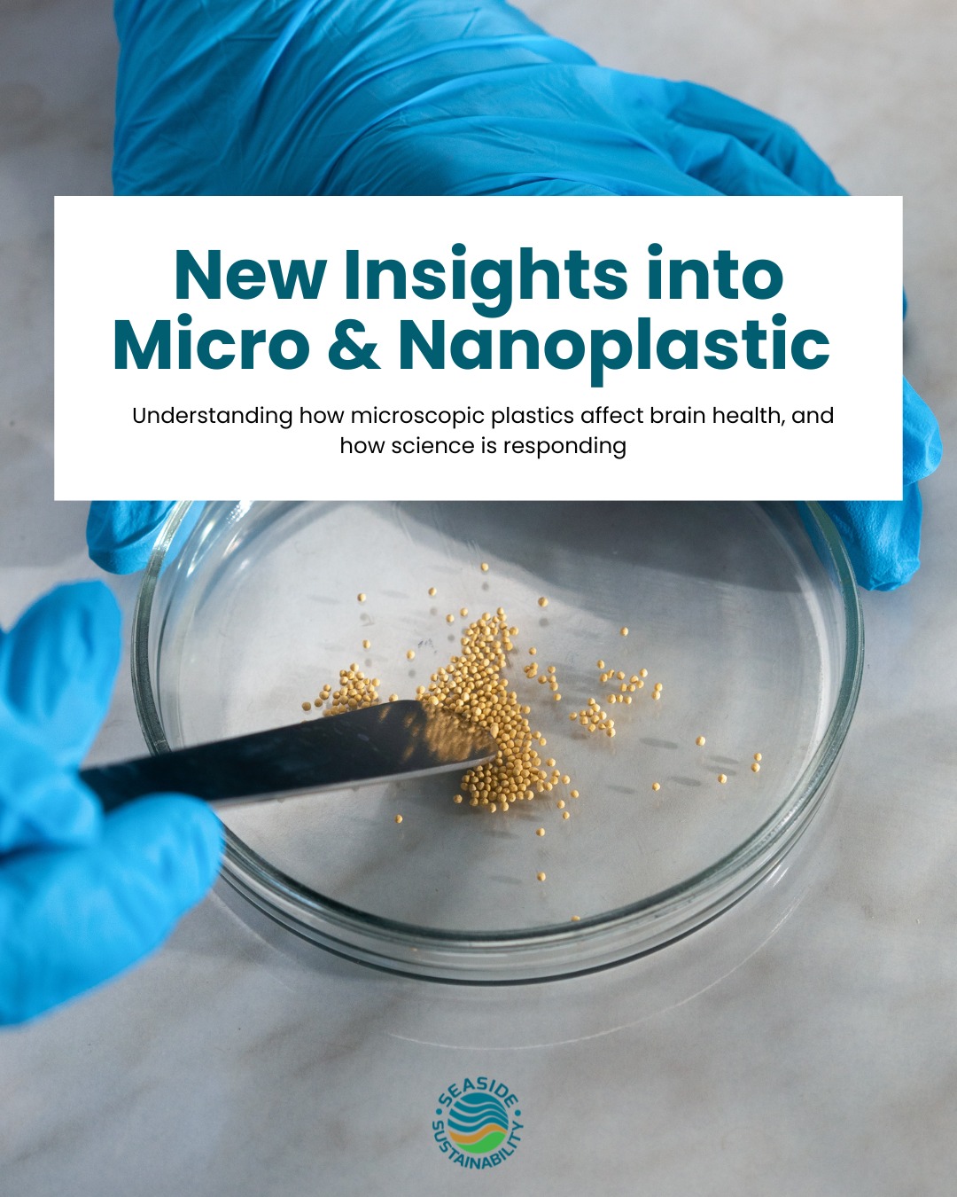 Microplastics don’t disappear, they just get smaller.
As research evolves, scientists are uncovering how these tiny fragments move through our environment and bodies. That’s why reducing plastic at the source matters more than ever.
#seasidesustainability #plasticpollution #microplastics