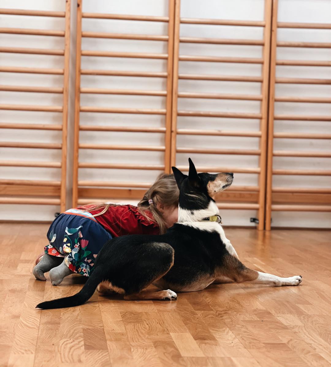 Ha csütörtök, akkor kutyás terápia 🐾🦮. #babolygó #óvoda #kutyaterápia #gyerekek #kindergarten