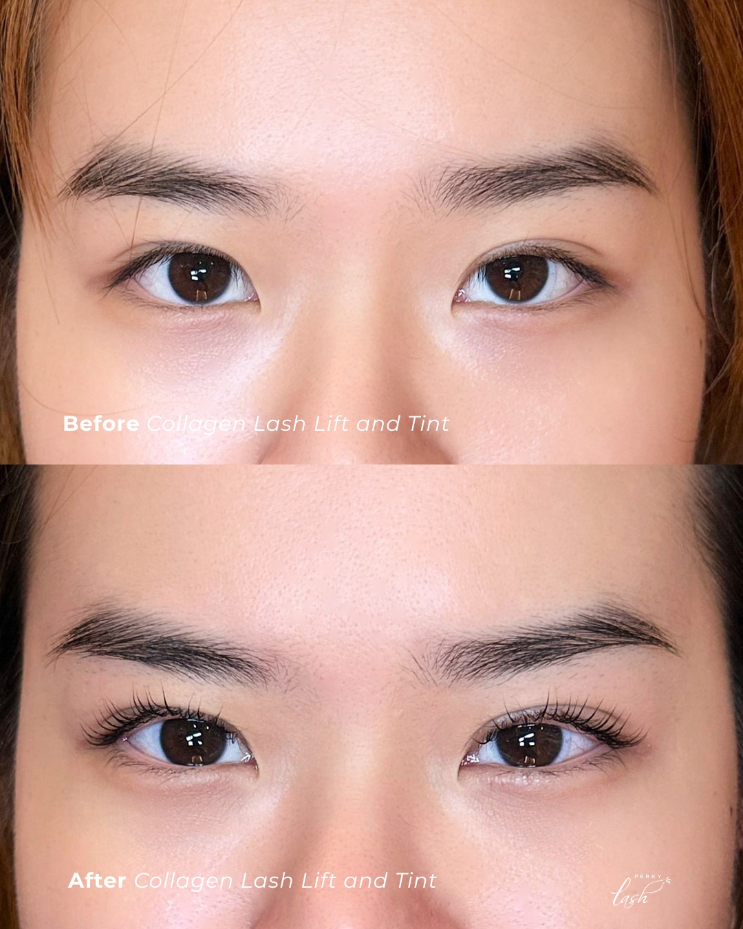 Before & After of our Collagen Lash Lift and Tint 💝
Instant lift can make your eyes glow up!
#perkylash #sglash #sglashes