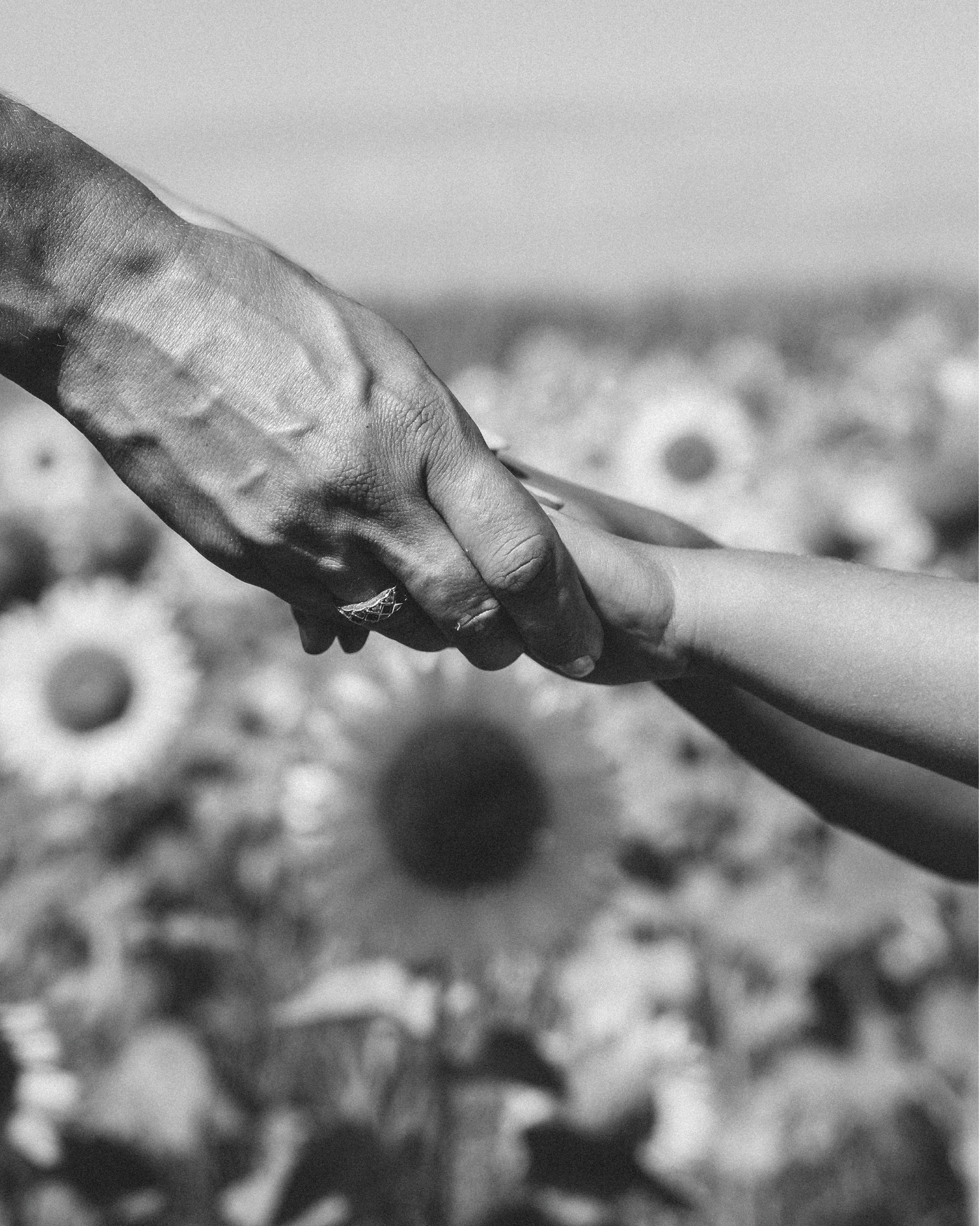 estes girassóis nunca mais murcharão. 🌻
naquele instante registei o amor, da mãe pela filha, da filha pela mãe e de ambas por aquele campo de girassóis.
para quem não entende a fotografia como um investimento, dificilmente lhe vê real valor. mas a fotografia de família não é para o agora, é para quando eles crescerem.
os campos murcham, os dias de verão acabam, os filhos saem de casa. mas a fotografia não, ela fica para sempre.