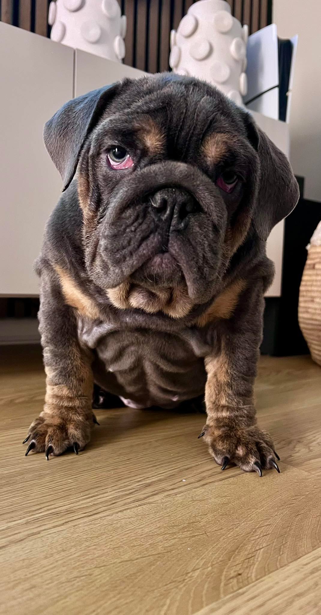 New member of the family!!