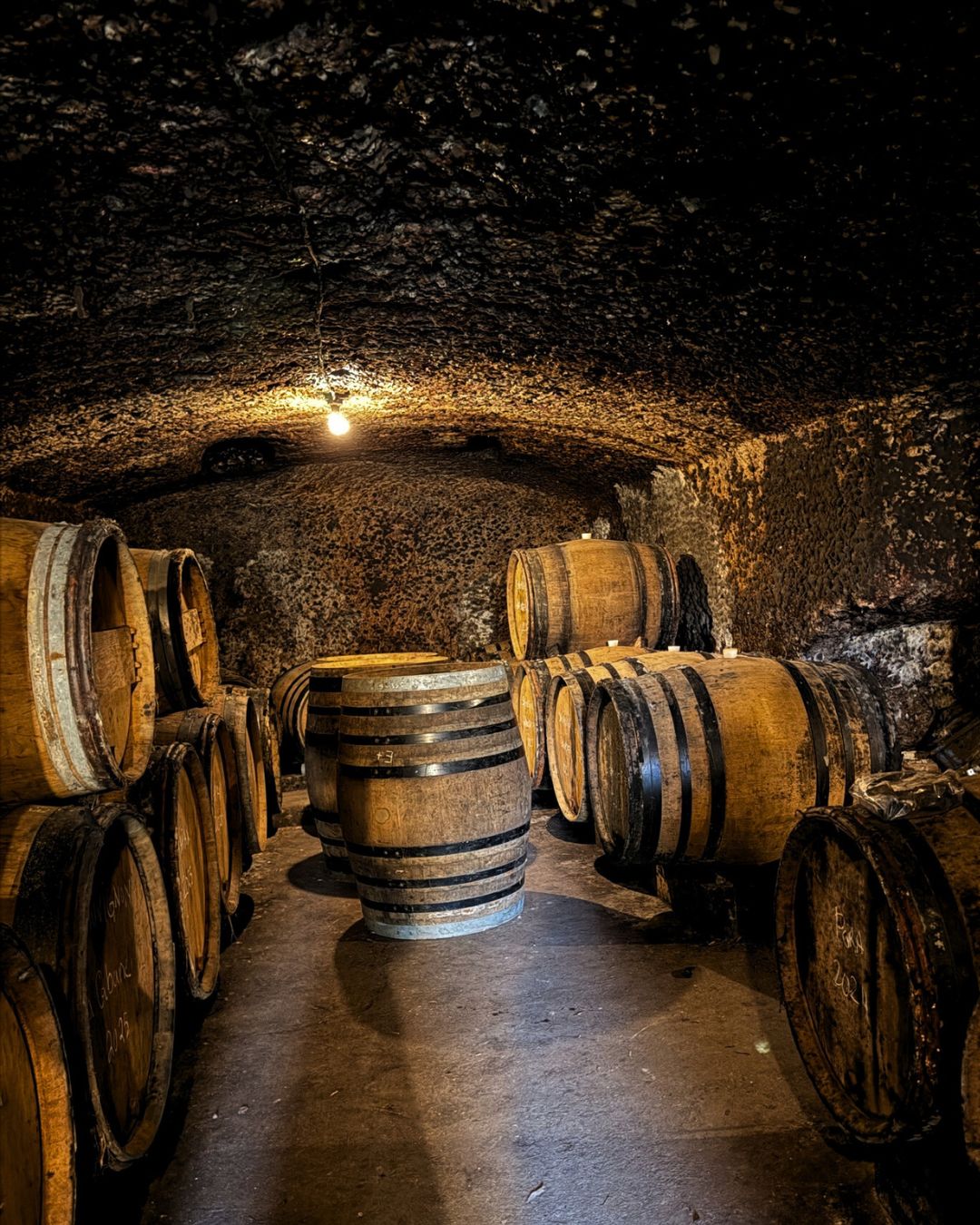 Este año trae consigo muchos proyectos nuevos, ideas que llevamos tiempo construyendo y colaboraciones que nos ilusionan especialmente. Estamos trabajando con mimo para seguir creciendo, incorporando nuevas referencias y dando forma a experiencias que muy pronto verán la luz.
Todavía no podemos desvelarlo todo… 👀
Pero os prometemos que en breve compartiremos cada detalle.
👉 Estad muy atentos a nuestras redes
👉 Y no dejéis de visitar nuestra página web, donde iremos anunciando todas las novedades
Se viene un año emocionante. Gracias por acompañarnos en el camino.