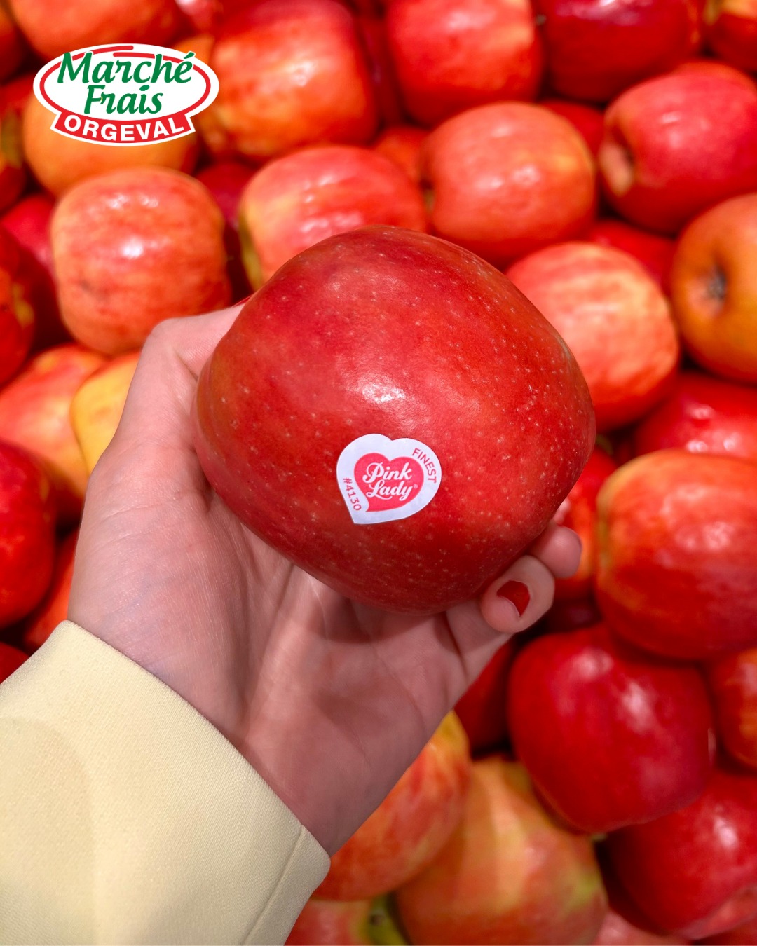 Pink Lady đđ«đ·
Croquante, juteuse, naturellement sucrĂ©e avec cette petite pointe dâaciditĂ© qui fait toute la diffĂ©renceâŠ
La Pink Lady France, câest la pomme quâon adore pĂątisser autant quâon adore croquer.
đChair ferme et fondante
đĂquilibre parfait entre douceur et fraĂźcheur
đCultivĂ©e avec exigence par des producteurs passionnĂ©s
đ Swipez pour dĂ©couvrir une recette d'un gĂąteau moelleux aux pommes et Ă la cannelle, parfaite pour la saison. A gardez-la sous le coude pour le week-end đ
#gateauauxpommes #pinklady #recettesucree #marchefraisorgeval #orgeval #mangersain #patisserie