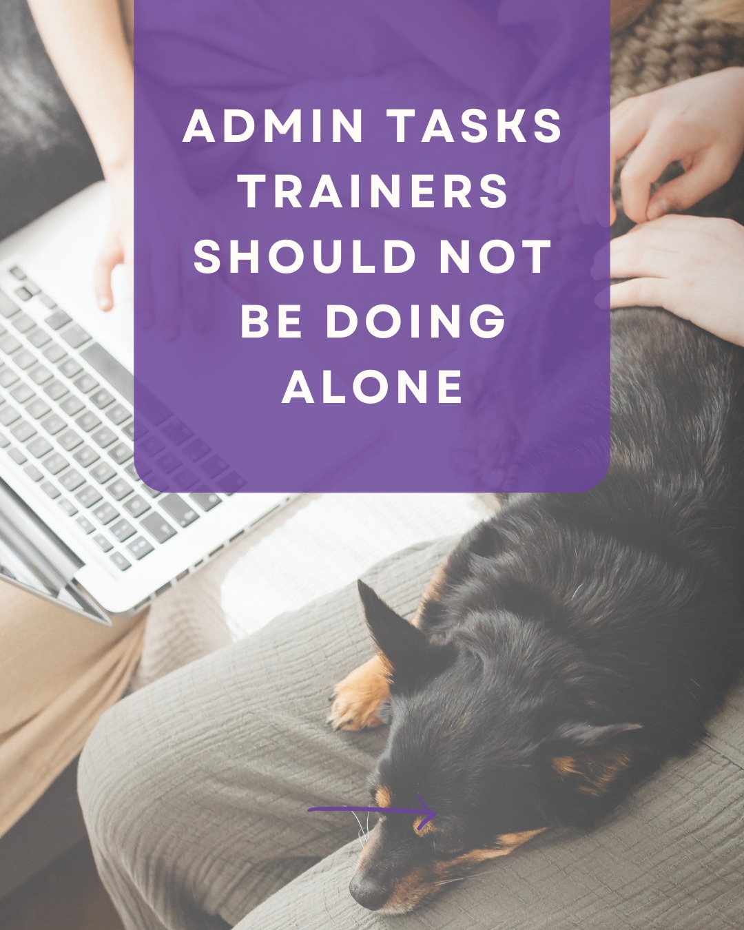 Needing support does not mean you are failing. It usually means your business has grown.
#LittleWolfCS #CanineBusiness #DogTrainerLife #CanineProfessionals #DogBizGrowth #TrainerMindset #DogTrainingSupport #TrainerSuccess #BusinessSupportForTrainers #DogTrainingBusiness