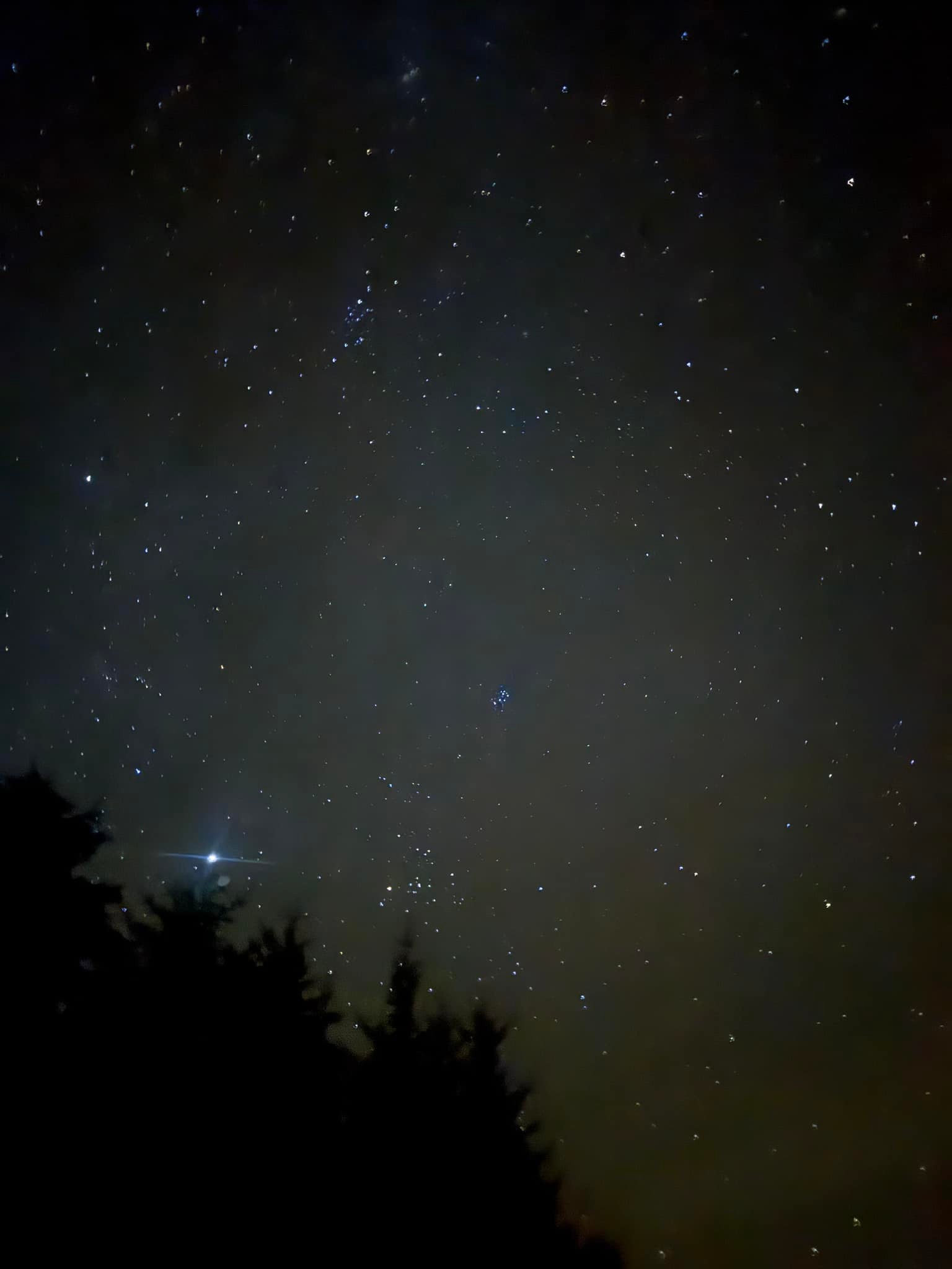 Nice sky tonight ✨