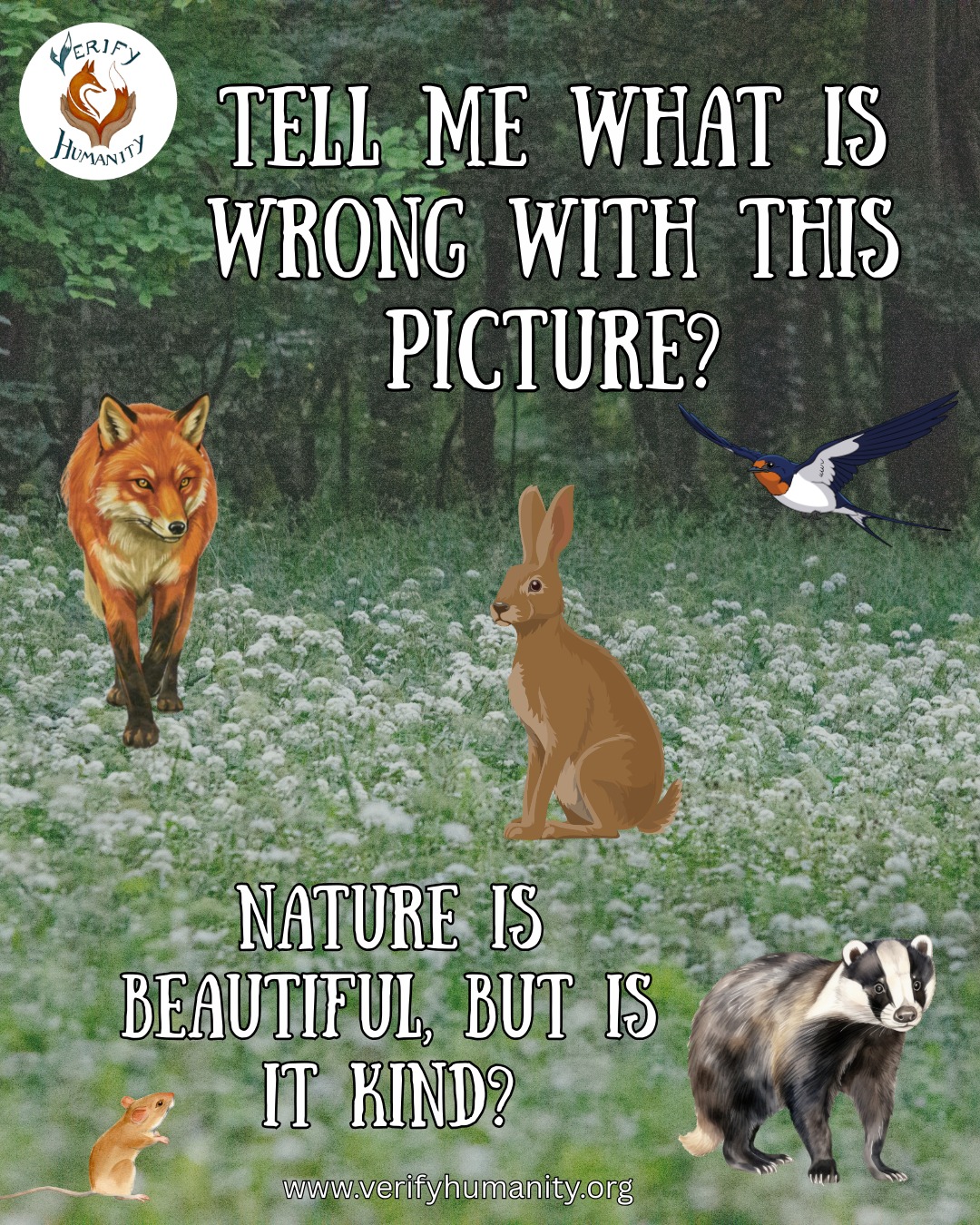 Conservation has traditionally focused on species, ecosystems, and processes. It appears conservation sometimes sacrifices individual welfare to protect the biodiversity of ecosystem integrity.
But a growing movement is asking a harder question:
What about the lives within those ecosystems?
Wild animal welfare centres sentience, agency, and lived experience. Many animals consciously experience pain, fear, pleasure, and relief. Their suffering doesnโt only come from humans, but from nature itself, coming from starvation, disease, injury and extreme weather events.
If we would help an injured human, why not a suffering wild animal?
Animal ethicists and welfare scientists argue that wild animal suffering is morally significant, massively under-prioritised, and happening at a huge scale. This has led to growing support for research, rescue, rehabilitation, and cautious interventions like vaccination, contraception, habitat improvements and legal protections.
However, there are challenges. Ecosystems are complex; interventions could reduce suffering or unintentionally increase it. Many also argue that our duties to wild animals are weaker than those to humans or domestic animals. Additionally, a common objection is that โtheyโre wildโ, outside of political arrangements, but wild animals live in landscapes shaped, governed, and bordered by humans, within political jurisdictions.
We live in a multispecies world.
Rethinking conservation to include wild animal welfare isnโt simple, but it may be necessary. What do YOU think?
#animalwelfare #ecosystem #animalrehabilitation #multispecies #animalsentience
Source
Sandler, R., Palmer, C., The emerging movement against wild animal suffering and its potential implications for conservation, Oryx, Cambridge University Press, (2025). https://www.researchgate.net/publication/394476850_The_emerging_movement_against_wild_animal_suffering_and_its_potential_implications_for_conservation