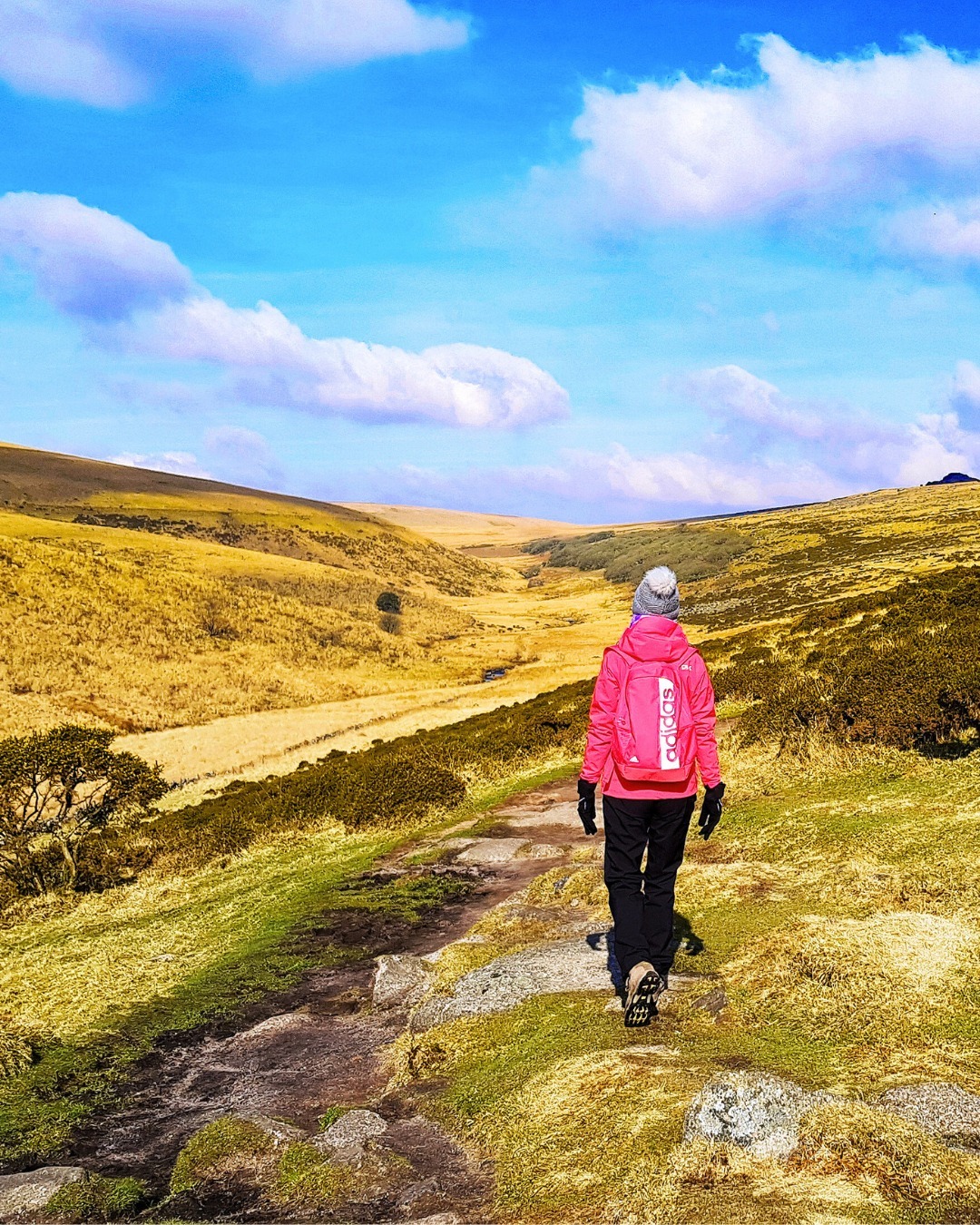 Quando pensiamo alla campagna inglese, l’immaginario corre subito a colline ondulate, prati verde smeraldo e cottage da fiaba coperti di rose. 🏡✨
Pochi associano questo mondo idealizzato a vasti altopiani spazzati dal vento, nebbie improvvise e immense distese d’erica che sembrano non finire mai. 🚶♀️🌫️
Eppure, la brughiera è uno dei paesaggi più autentici e iconici della Gran Bretagna. 🇬🇧
Il Regno Unito ospita il 75% della brughiera d’erica del mondo — e non solo nel nord, come molti pensano, ma anche nel sud dell’Inghilterra.
La brughiera è un mondo a parte: ovattato, silenzioso, senza confini.
Un luogo dove lo sguardo corre libero all’orizzonte e il tempo sembra rallentare.
Un paesaggio che ti regala una sensazione inebriante di libertà assoluta.
Nella terza puntata della mia miniserie sulle meraviglie della campagna inglese — in uscita questa sera, giovedì 26 febbraio alle 21 (20 in UK) — vi porto alla scoperta del Dartmoor, uno dei due parchi nazionali del Devon.
Un luogo dalla bellezza struggente, dove ho vissuto giornate indimenticabili tra scenari maestosi, atmosfere sospese e una pace profonda che raramente ho trovato altrove. ❤️
Se volete conoscere un mondo che sembra uscito da una leggenda, fatto di orizzonti sconfinati e magia, non perdetevi questo video. 🎥✨
E voi… siete mai stati nella brughiera inglese?
#passionecampagnainglese #dartmoor #brughiera #erica #paesaggisuggestivi #scenarisuggestivi #viaggioininghilterra #parconazionaledeldartmoor #devon #dartmoornationalpark