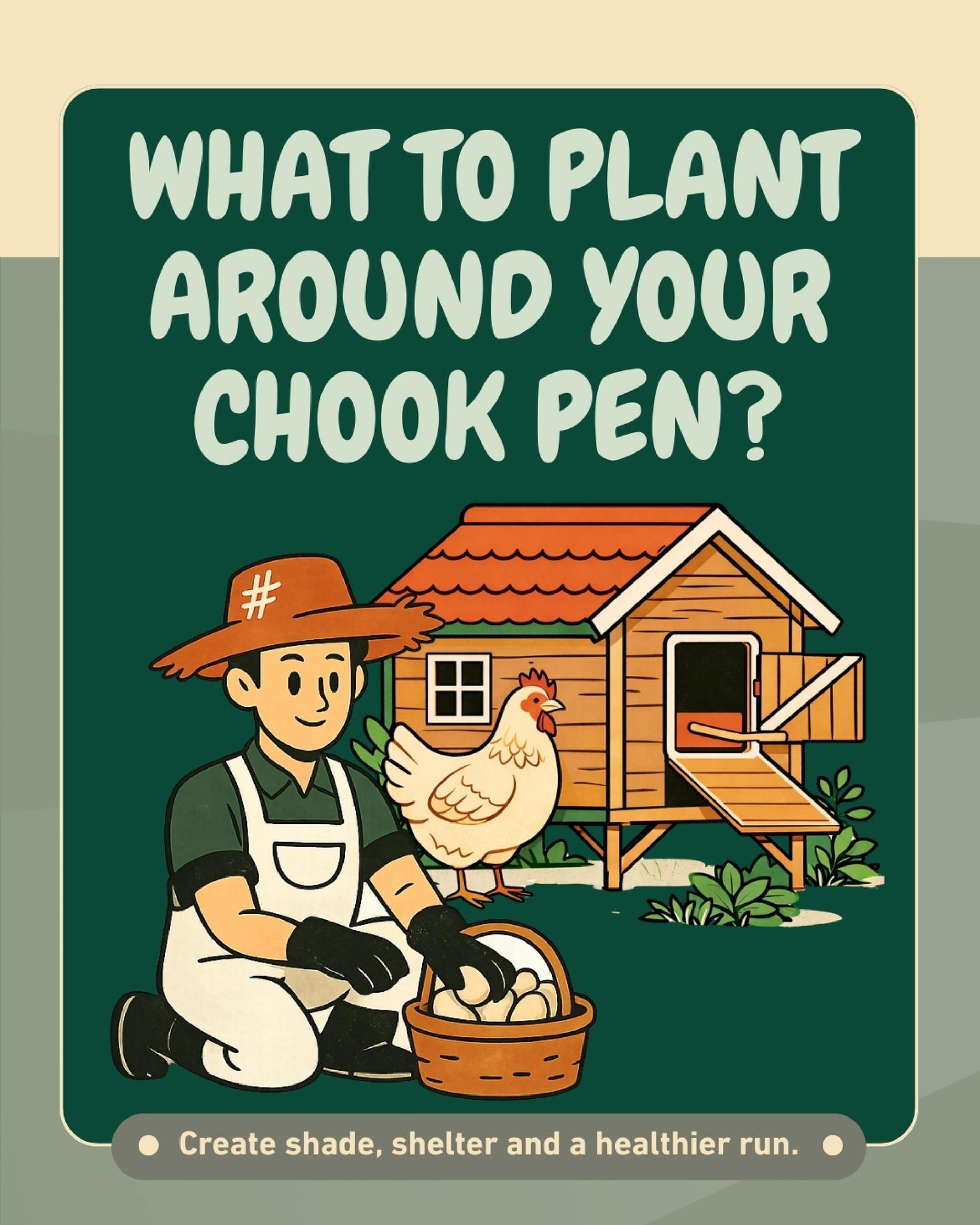 Got chooks and wondering what to plant around their pen?
Shade, shelter, foraging and natural pest support all start with the right planting.
Heading out to Moorelands, have a chat with the team about what would work best in your space for your feathered friends 🌿🐓