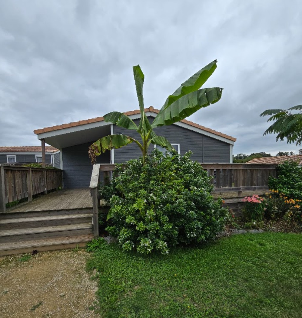 🌿 𝐎𝐍 𝐓𝐄𝐒𝐓𝐄 𝐏𝐎𝐔𝐑 𝐕𝐎𝐔𝐒 : 𝐋𝐞 𝐃𝐨𝐦𝐚𝐢𝐧𝐞 𝐝𝐞 𝐌𝐞́𝐥𝐮𝐬𝐢𝐧𝐞 🧜♀️
Marre des chambres d'hôtels classiques ? Envie de nature et d'espace en tribu ? Le Jardin des Légendes a testé pour vous le @domainemelusine , à seulement 2 minutes (oui, deux !) du @puydufou . 🚗💨
📋 𝐋𝐀 𝐅𝐈𝐂𝐇𝐄 𝐃'𝐄𝐗𝐏𝐄𝐑𝐓𝐈𝐒𝐄 :
💰 Budget : 90€ à 450€ / nuit (Ultra rentable à plusieurs !).
📍 Distance : 2 km du parc (accessible même à pied pour les courageux).
🥐 Petit-déj' : Comme à la maison ! Vous avez votre propre cuisine équipée.
⭐ 𝐏𝐎𝐔𝐑𝐐𝐔𝐎𝐈 𝐎𝐍 𝐀𝐃𝐎𝐑𝐄 :
✅ L’Espace "Tribu" : Des cottages de 35 à 100m² pouvant accueillir jusqu'à 10 personnes. Fini les chambres séparées, vivez l'aventure ensemble ! 👨👩👧👦
✅ Le Confort Royal : On a testé le cottage 6 places : suite parentale avec lit XXL (180x200), douche à l'italienne et même un balcon privé vue bocage. 🌳
✅ Le Lagon : Une véritable plage privée sur le domaine pour piquer une tête après une journée intense au parc. 🏝️
✅ Équipement complet : Cuisine de pro (four, lave-vaisselle, Nespresso) et kit de bienvenue pour ne manquer de rien dès l'arrivée.
👑 𝐋𝐄 𝐕𝐄𝐑𝐃𝐈𝐂𝐓 𝐃𝐔 𝐉𝐀𝐑𝐃𝐈𝐍 :
C'est le spot idéal pour les familles nombreuses ou les groupes d'amis. Le rapport qualité/prix est imbattable quand on divise le coût par personne. C'est plus qu'un dodo, c'est un véritable lieu de vacances avec mini-golf et food-trucks ! 🍕⛳
⚠️ Conseil d'expert : Victime de son succès et de sa proximité immédiate avec le parc, les cottages s'envolent vite. Réservez bien à l'avance !
💬 Alors, plutôt team "Hôtel moderne" ou team "Cottage en pleine nature" ? Dites-nous tout en commentaire ! 👇
#LeJardinDesLegendes #PuyDuFou2026 #DomaineDeMelusine #Nature #VoyageEnFamille #Vendee #BonPlan #PuyDuFou #ExpertiseVoyage