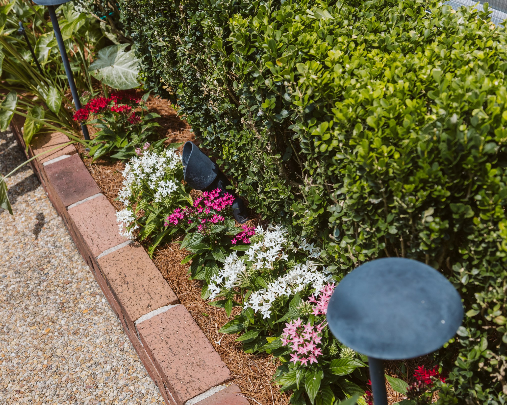 Spring color will be here before we know it 🌸
▫️ ▫️ ▫️ ▫️ ▫️ ▫️ ▫️ ▫️ ▫️ ▫️
#thegardengateslandscapecompany #landscapedesign #residentialdesign #residentiallandscapedesign #neworleanslandscapes #pavers #thegardengateslandscapecompany #neworleans #metairielandscapes #design #iheartnola #artificialturf #turf #design