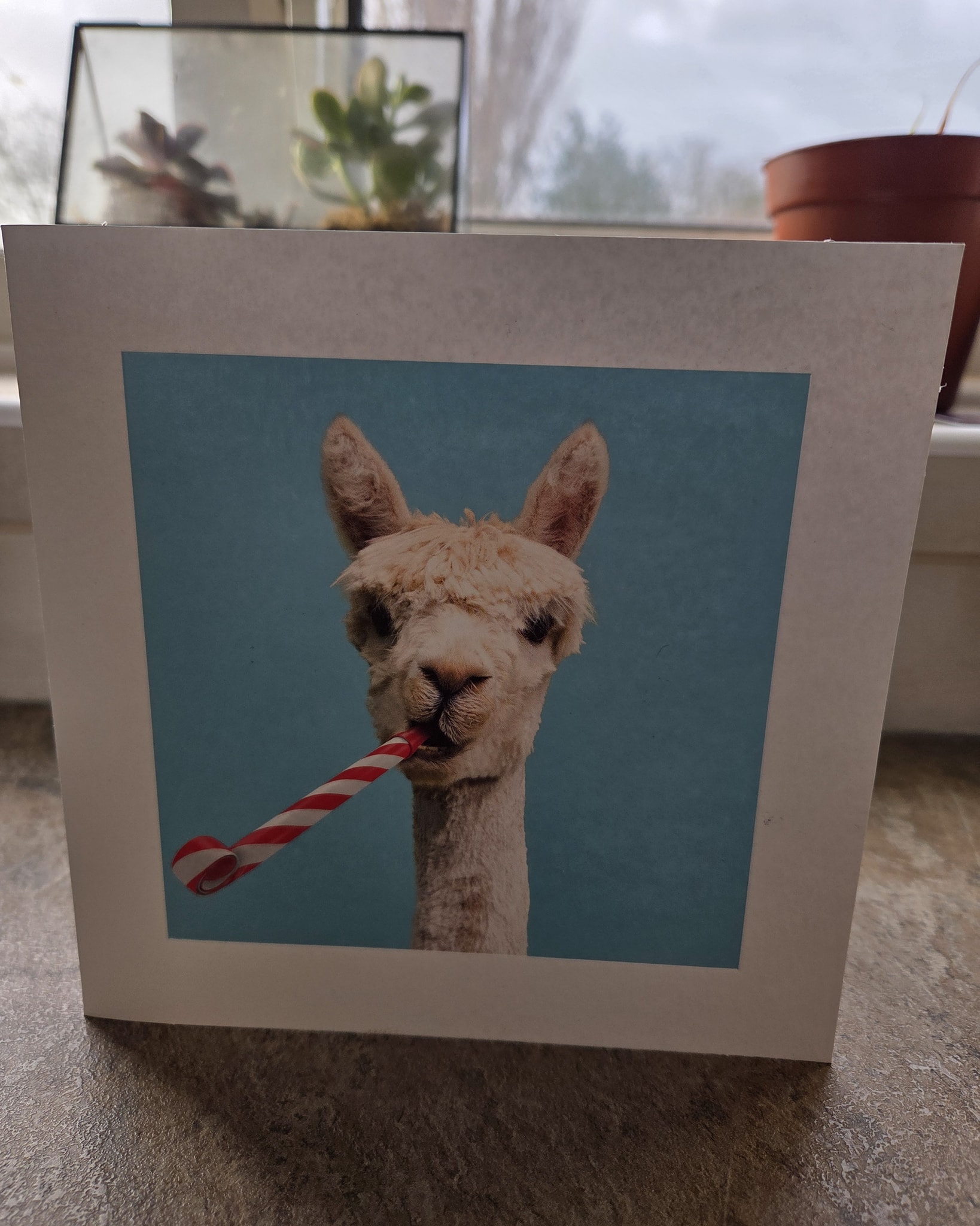 A thank you card from one of our Alternative Provision students. We’re proud to offer a safe, practical space where young people can learn, reset, and feel valued. #alternativeprovision #farmschool #bridgwater