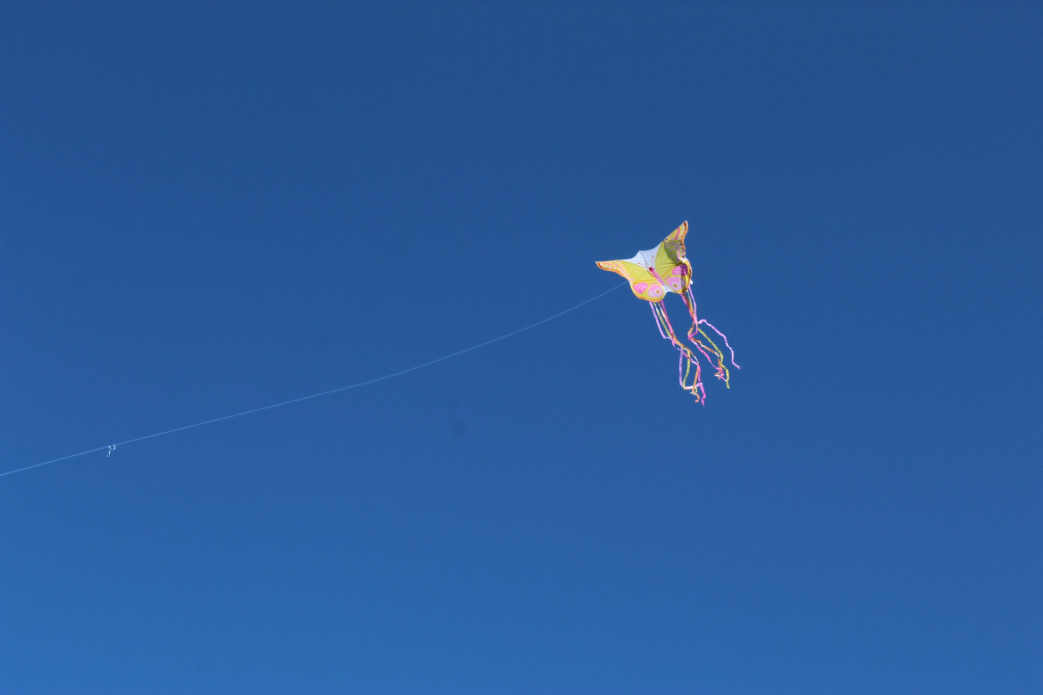 Spring is in the air!
As the season shifts, "spring cleaning" isn't just about scrubbing baseboards it’s about clearing space for your new arrival. 🌸
Here is how to declutter for birth and early motherhood:
Clear the Calendar: Start saying "no" to non essential commitments. Your energy is a finite resource; protect it for your recovery and bonding.
Audit Your Feed: Unfollow accounts that make you feel anxious or "less than." Fill your digital space with positive birth stories and supportive parenting vibes.
The "One-Touch" Rule: Organize baby gear so everything has a home. If you have to hunt for a diaper at 3 AM, it’s in the wrong spot!
Mental Dusting: Let go of the "perfect" birth or parenting plan. Replace rigid expectations with flexibility and self compassion.
Spring is about new beginnings make sure yours starts with a clear head and a light heart. 💜