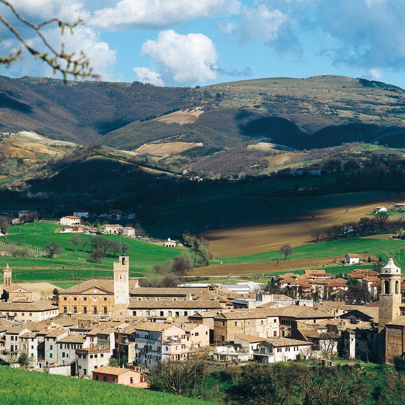 La nostra Matelica.
Fulcro della Sinclinale Camerte, piccola gemma custodita tra i monti, dove l’aria è più fresca, le escursioni termiche scolpiscono il carattere e la terra racconta storie antiche.
È qui che nasce un vino potente e unico: il Verdicchio di Matelica.
Un bianco di struttura e profondità, capace di unire freschezza vibrante e sorprendente longevità.
Profuma di agrumi e fiori bianchi e mandorla, con una mineralità che parla della sua origine calcarea.
È identità, è orgoglio, è il riflesso autentico della nostra terra.
Ogni sorso è Matelica.
Ogni calice è casa. 🍃🍷
Our Matelica.
The heart of the Sinclinale Camerte, a small gem nestled between the mountains, where cool air and wide temperature swings shape character and depth.
Here, a powerful and truly unique wine is born: Verdicchio di Matelica.
A white wine of structure and elegance, combining vibrant freshness with remarkable ageing potential.
Notes of citrus and white blossoms, crisp apple and almond, wrapped in a distinctive minerality that speaks of its limestone soils.
It is identity. It is pride. It is the true expression of our land.
Every sip is Matelica.
Every glass feels like home. 🍃🍷
#Matelica #borgopaglianetto #organic #VerdicchioDiMatelica #ItalianWine #WineLovers #Territory #SinclinaleCamerte #Territorio