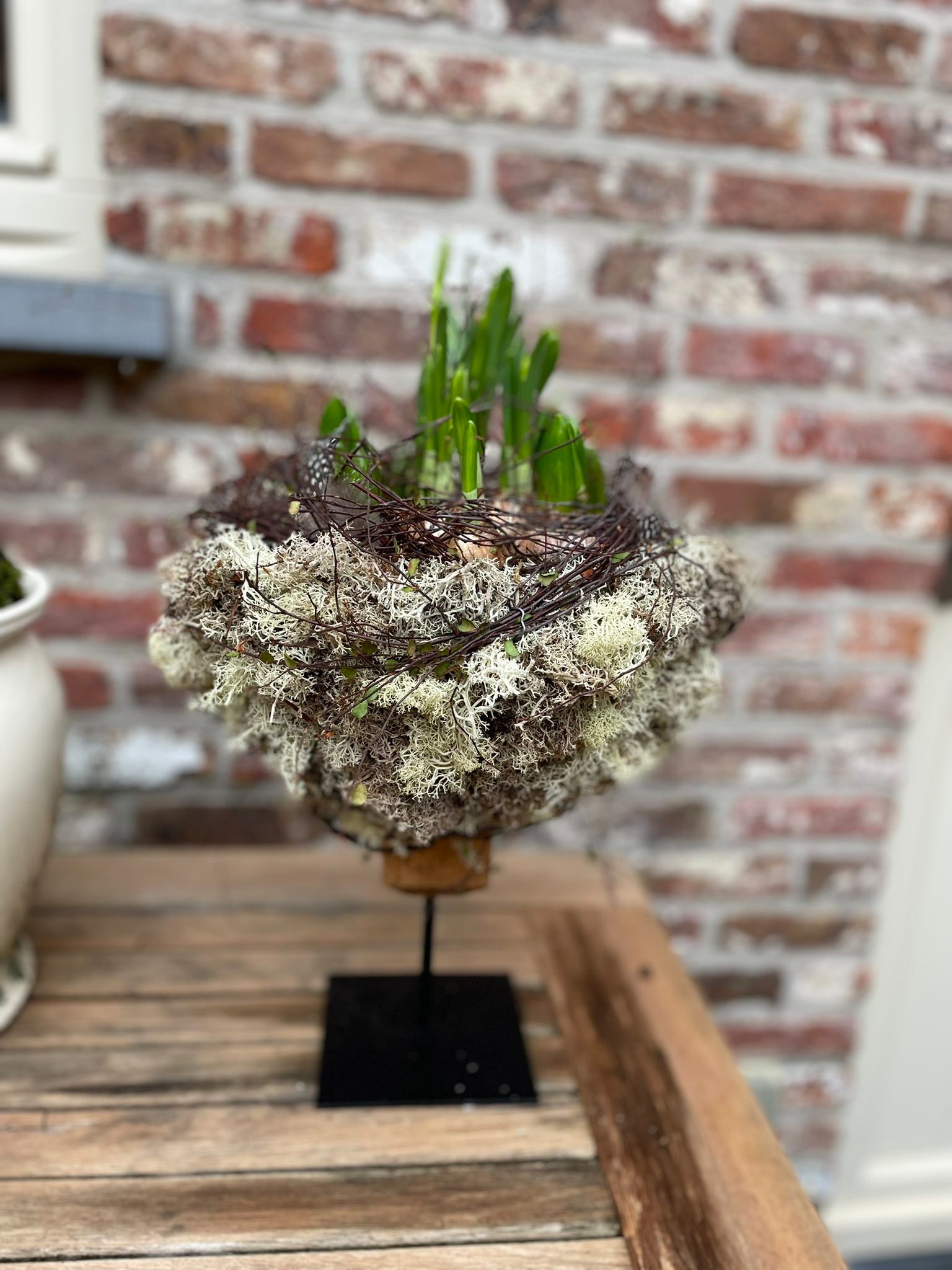 Er komt opnieuw leven in de tuin en dat geeft inspiratie voor een bloemenworkshop rond het thema Pasen.
De workshop gaat door op zondag 22 maart, 10u - 12.30u.
Meer info en inschrijvingen: fleursarrosees@telenet.be