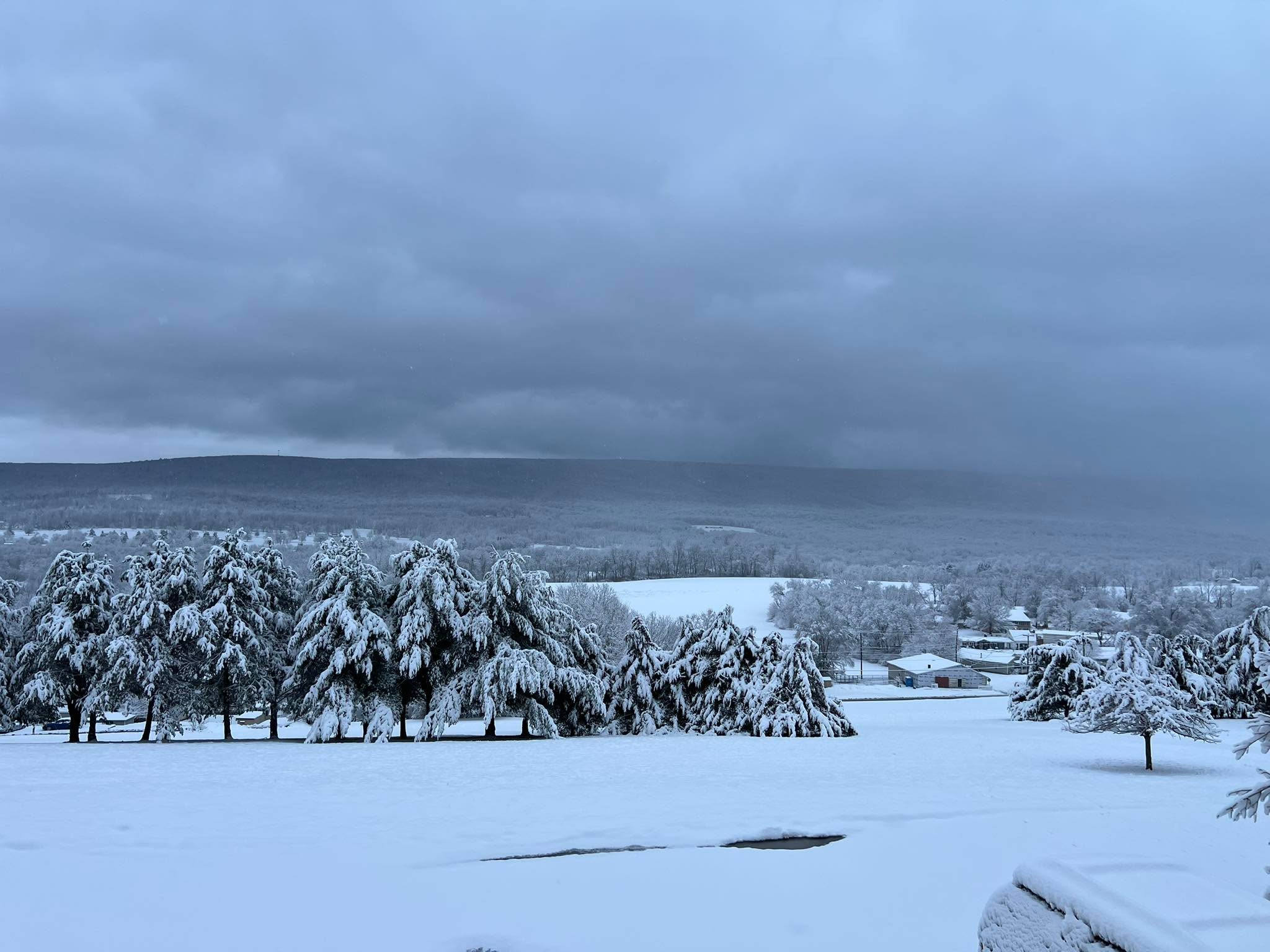 It is pretty! But I’m thinking that’s all I have positive tp say about it!
I’m definitely ready for the spring!