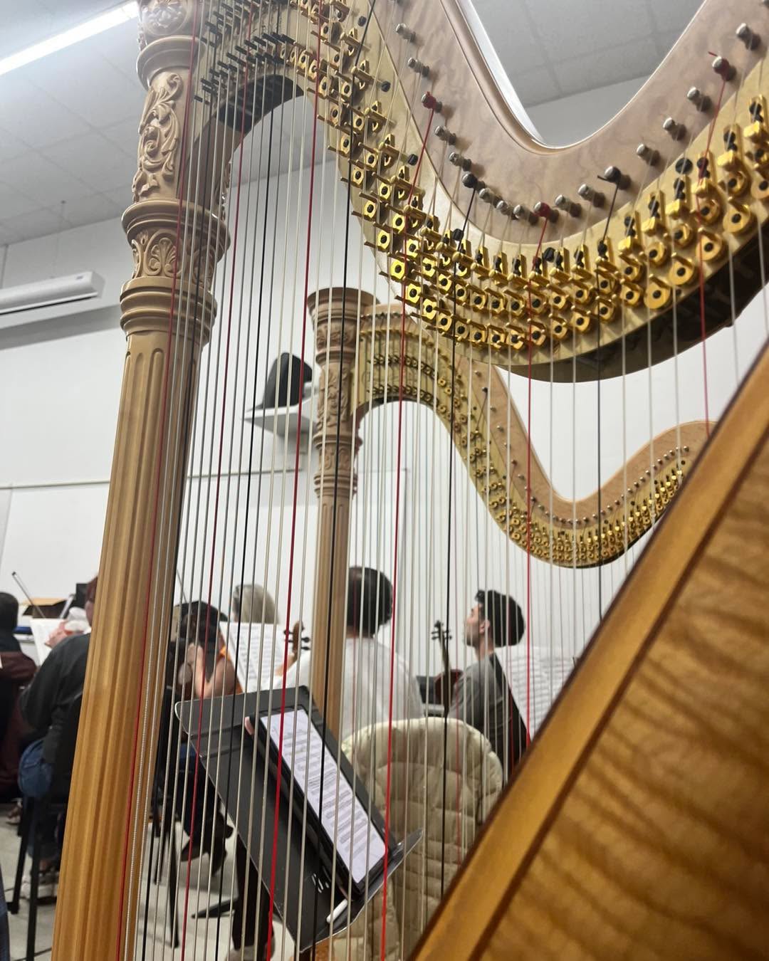 Double the harps, double the magic ✨
Westerville Symphony rehearsal…
#TwoHarps #HarpLife #OrchestraLife #WestervilleSymphony #Harpist #SymphonySeason #MusicianLife