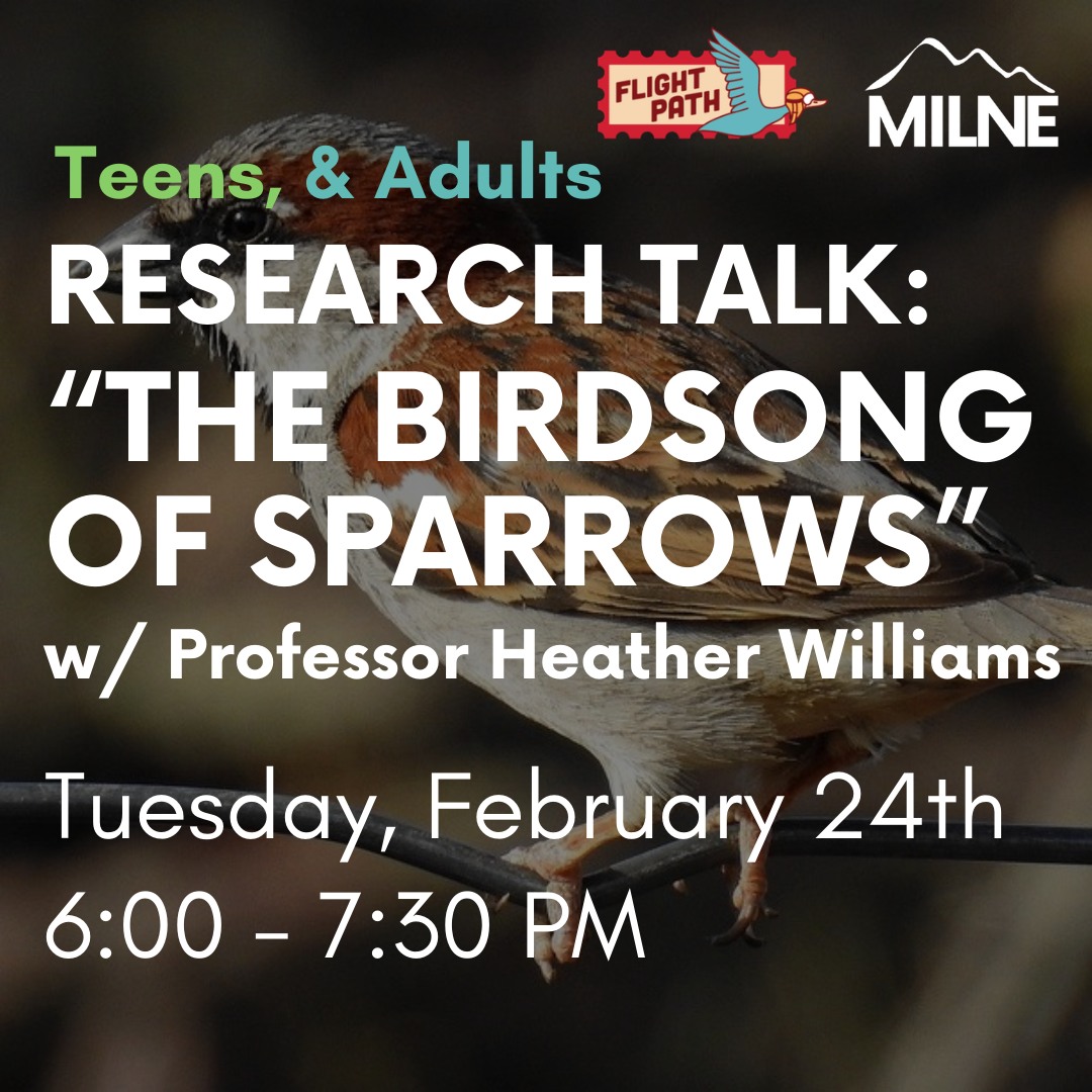 This week at the Milne (February 24 -28). Join us for a research talk, trivia, a movie, and MORE!View our full event calendar using the link in our bio or on our website at milne.librarycalendar.com
Image 1: Research Talk: The Birdsong of Sparrows w/ Professor Heather Williams - Tuesday 02/24 at 6:00 p.m.
Image 2: ¡Hablemos español! Spanish Conversation Group - Wednesday 02/25 at 6:00 p.m.
Image 3: Black History Month Trivia Night - Thursday 02/26 at 6:00 p.m. (Snacks & Refreshments Provided)
Image 4: Movies at the Milne: The Big Year - Saturday 02/28 at 1:00 p.m. (Popcorn Included)