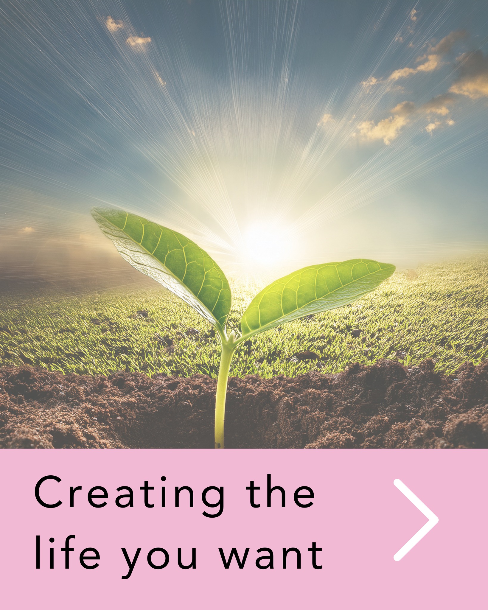 CREATING THE LIFE YOU WANT
Gratitudes are a proven manifestation strategy.
Create your gratitudes (particularly about yourself) when you do something you are proud of, however small the achievement may seem.
When you give gratitude you are not trying to convince yourself that you are a fantastic achiever, you are acknowledging to yourself that you already are!
When you acknowledge your gratitude for the way you are, or your life is, you are also unconsciously affirming to yourself all the things that contribute to your success.
For example, if you are grateful that your presentation to the senior team was successful, your subconscious affirms everything that underpins that…
- that you are capable, worth paying attention to, motivated, assertive, confident, appreciated, part of a team, successful at what you do etc.
Like attracts like - your attitude will beget more of the same. Give gratitude and allow yourself to believe you are the best of you.
See my blog for step by step instructions and more information about gratitude.
Want to talk? Visit theathenapractice.co.uk for more info
#emotionalinteligence
#therapy #therapist #TherapyJourney #SelfReflection #EmotionalIntelligence #PersonalGrowth #HealingFromWithin #AuthenticSelf #EmotionalResilience