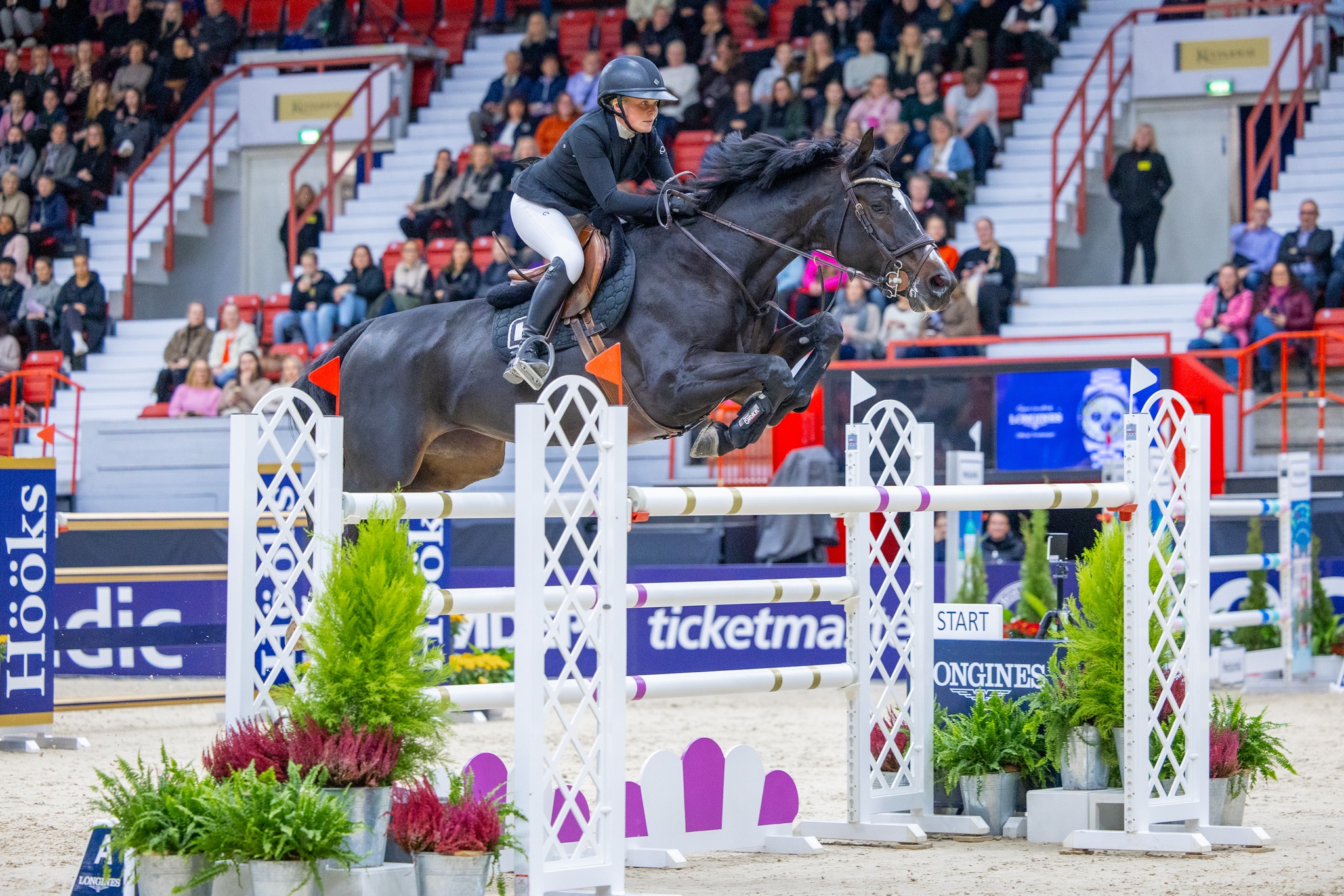 @helsinkihorseshow
Where you can find photos of the show? 📸📹
Take a look in to the Facebook group: Hevostapahtumien kuvalinkit (https://www.facebook.com/groups/1793663604201148/) - most of the Finnish horse photographers will publish the links to galleries on that group 🌟
My photos will be available in here: https://www.heidilammi.com/kuvat/2026/Helsinki+International+Horse+Show+26.2.-1.3.2026/